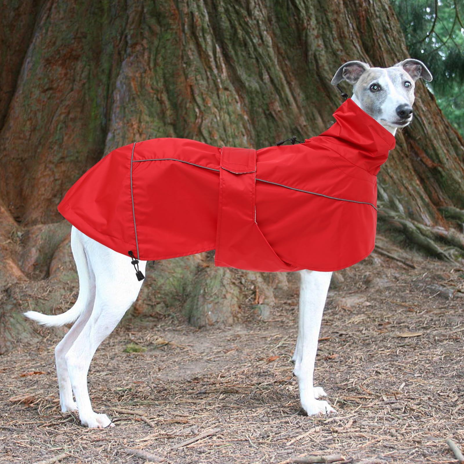 Greyhound Lurcher Raincoat, Whippet Rain Gear With Reflective Bar, Rain/Waterproof, Adjustable Bands And Drawstring In Autumn And Winter - Red - Xlarge