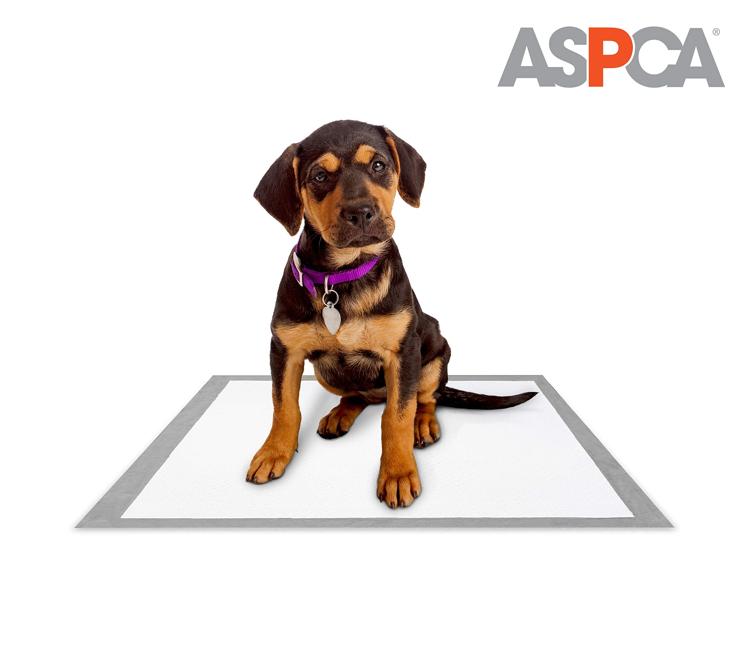 Aspca Mountain Air Scented Training Pads (100 Pack), Gray (As 62932)