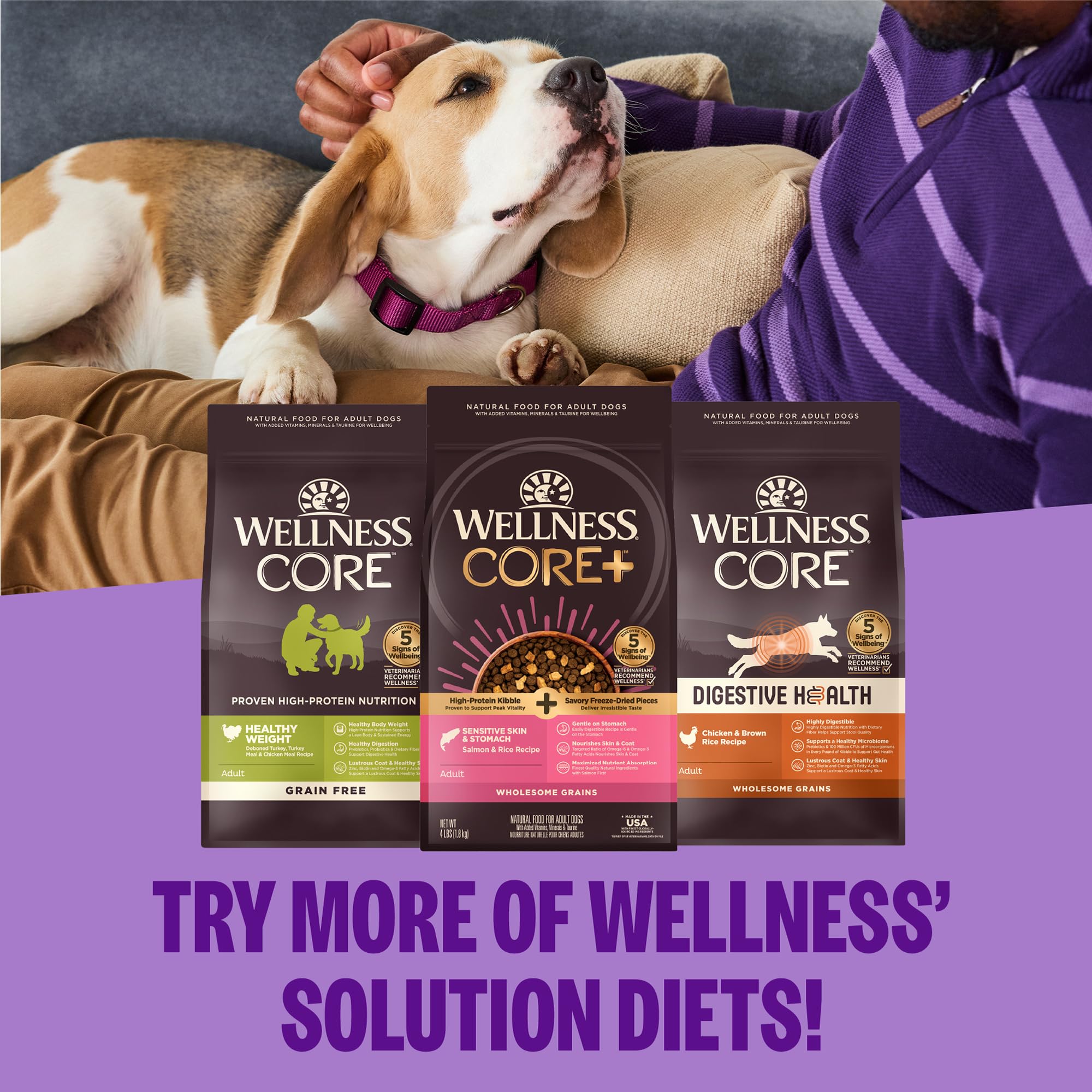 Wellness CORE Grain-Free High-Protein Dry Dog Food, Natural Ingredients, Made in USA with Real Meat, All Breeds, For Adult Dogs