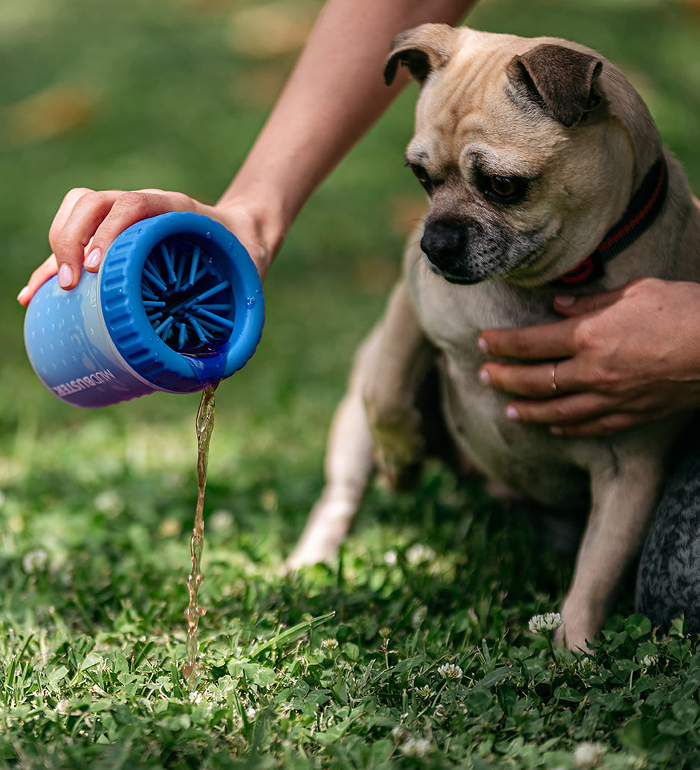 Dexas Mudbuster Portable Dog Paw Washer/Paw Cleaner, Small, Pro Blue