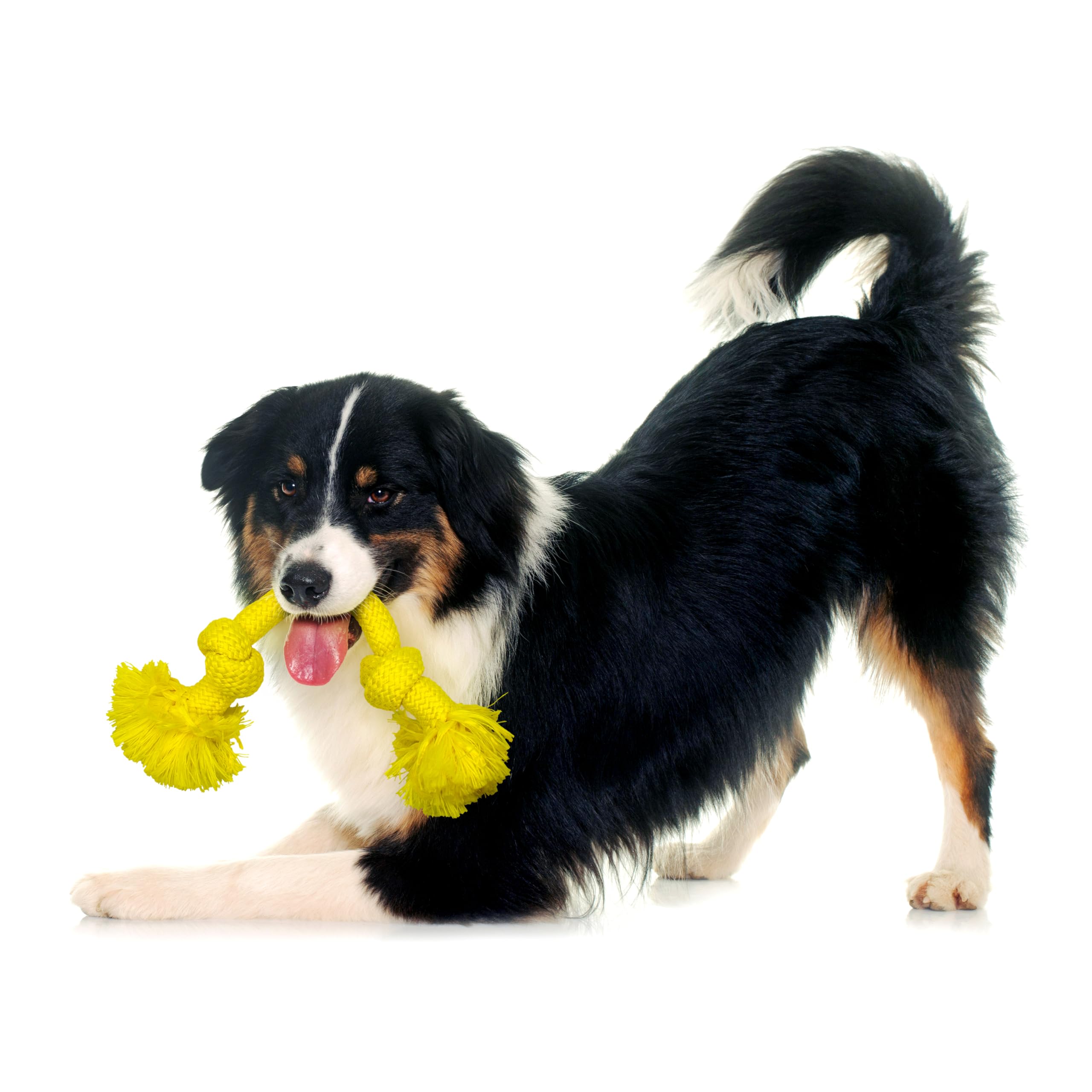 Playology Dog Toys | Dri-Tech Rope Toy Tug of War Rope for Aggressive Chewers | Medium Chicken Scented Toy - Easy to Clean and M