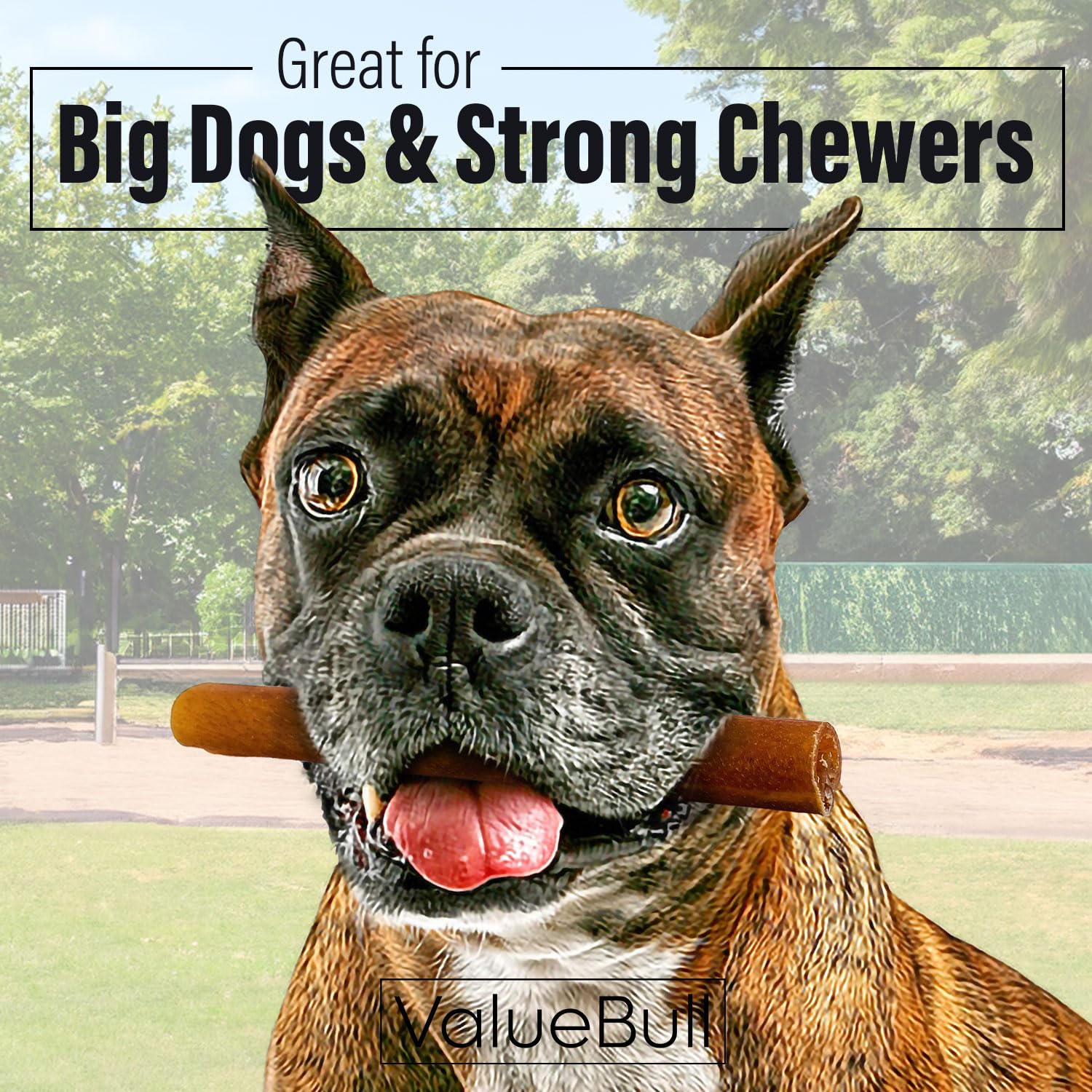 ValueBull Buffalo Collagen Sticks for Dogs, 6 Inch Thick Chews, Natural Long-Lasting Dog Treats, 200 Count Bulk Pack - Supports
