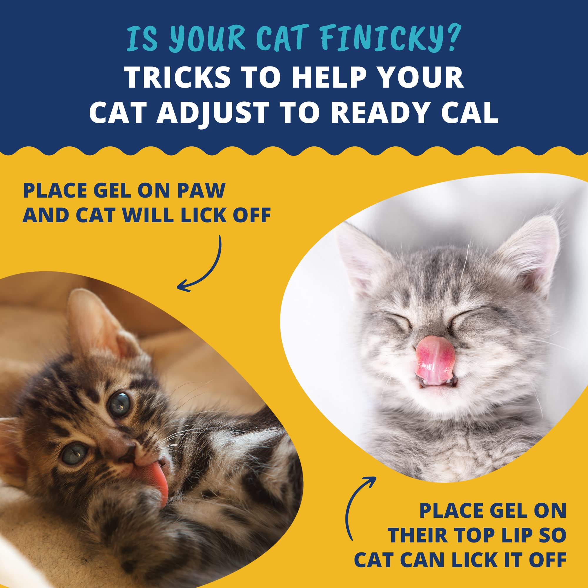 Under the Weather Pet | Ready Cal for Kitten | High Calorie Pet Nutritional Supplement for Weight Gain & Healthy Weight Maintena
