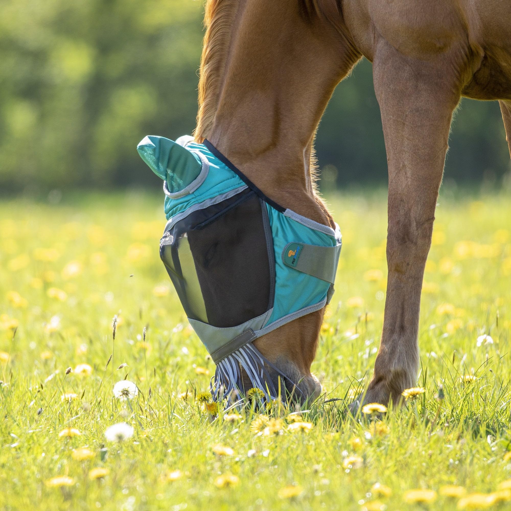 Deluxe Fly Mask With Nose Fringe (Extra Full, Green)