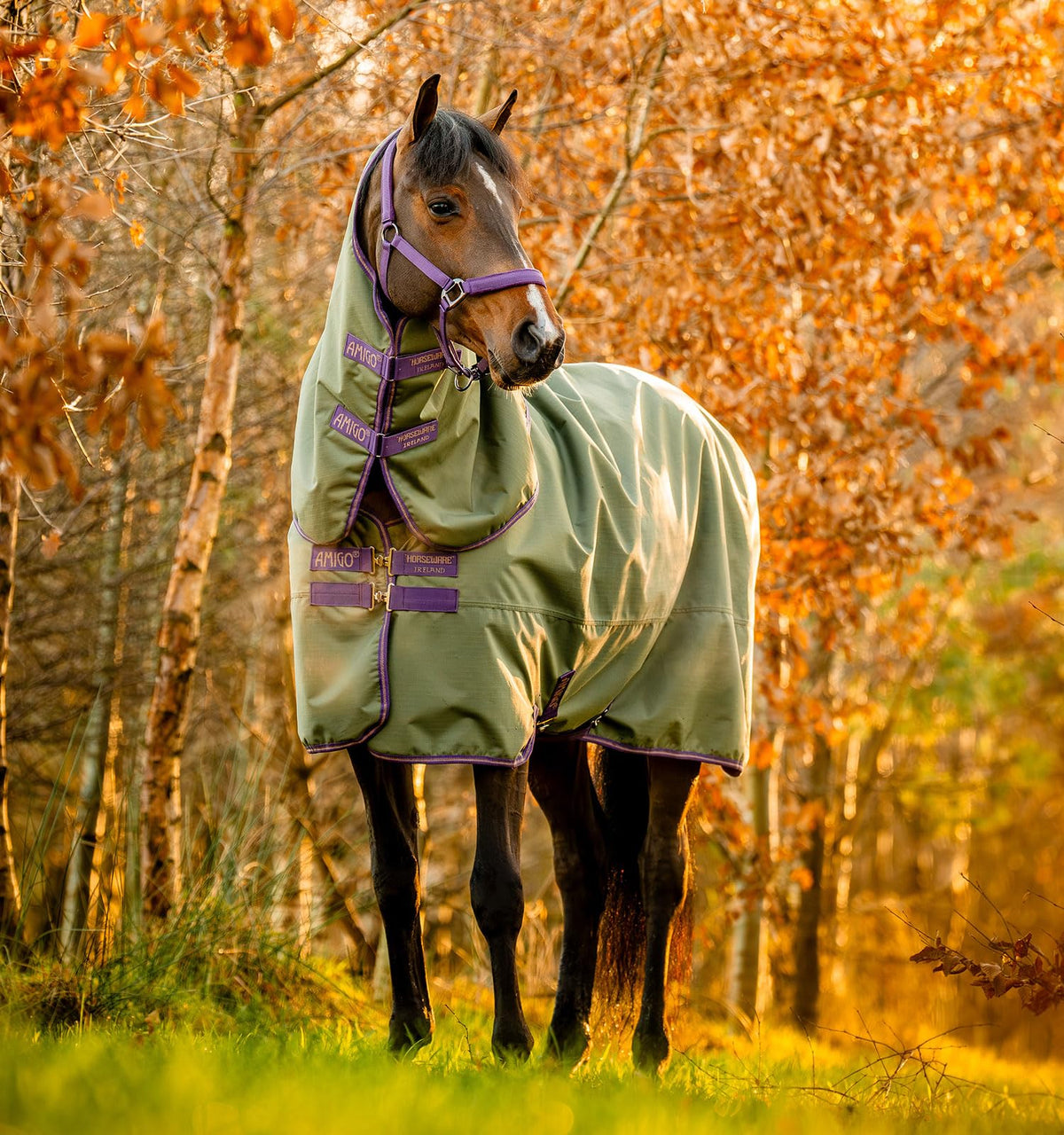Horseware Amigo Hero Ripstop Plus Turnout (0G Light)