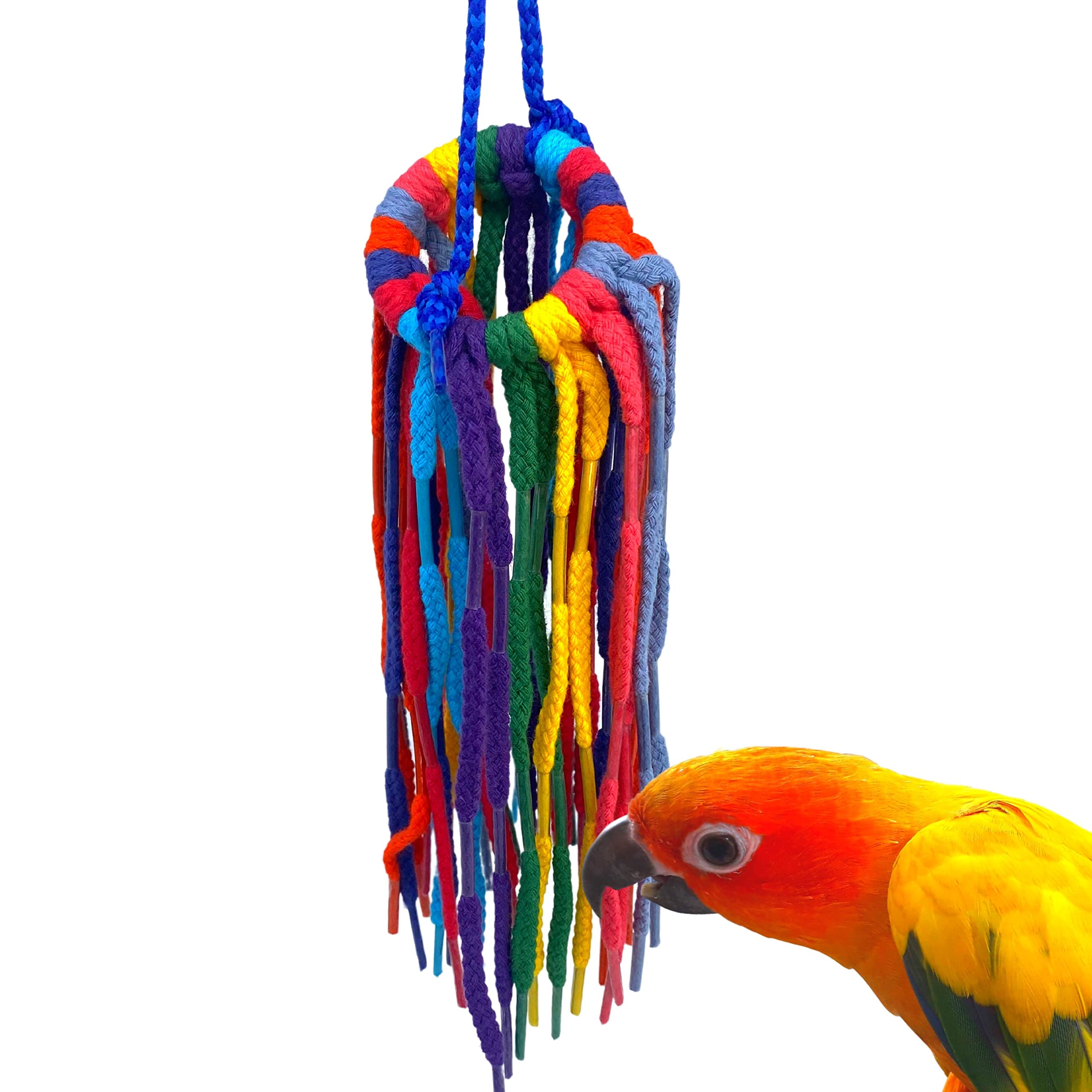 Bonka Bird Toys 51214 Small Aglet Heaven, 11' Hanging Bird Toy, Soft Colorful Cotton Shoelace Ring With Plastic Aglets, Lightweight And Easy To Play With, Safe For Parrots, Parakeets, Cockatiels