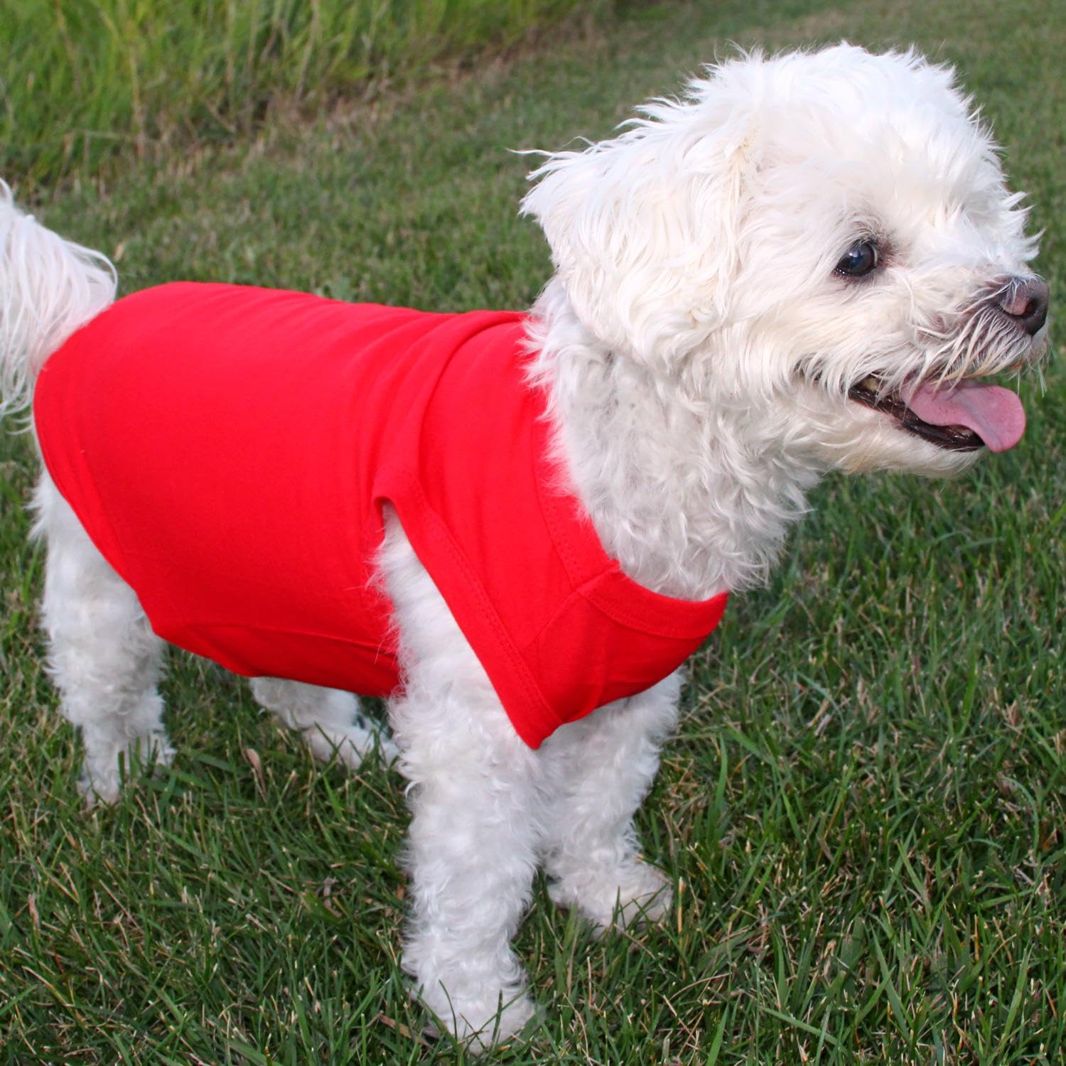 Doggie Design Cotton Dog Tank (Flame Scarlet Red, Xl)