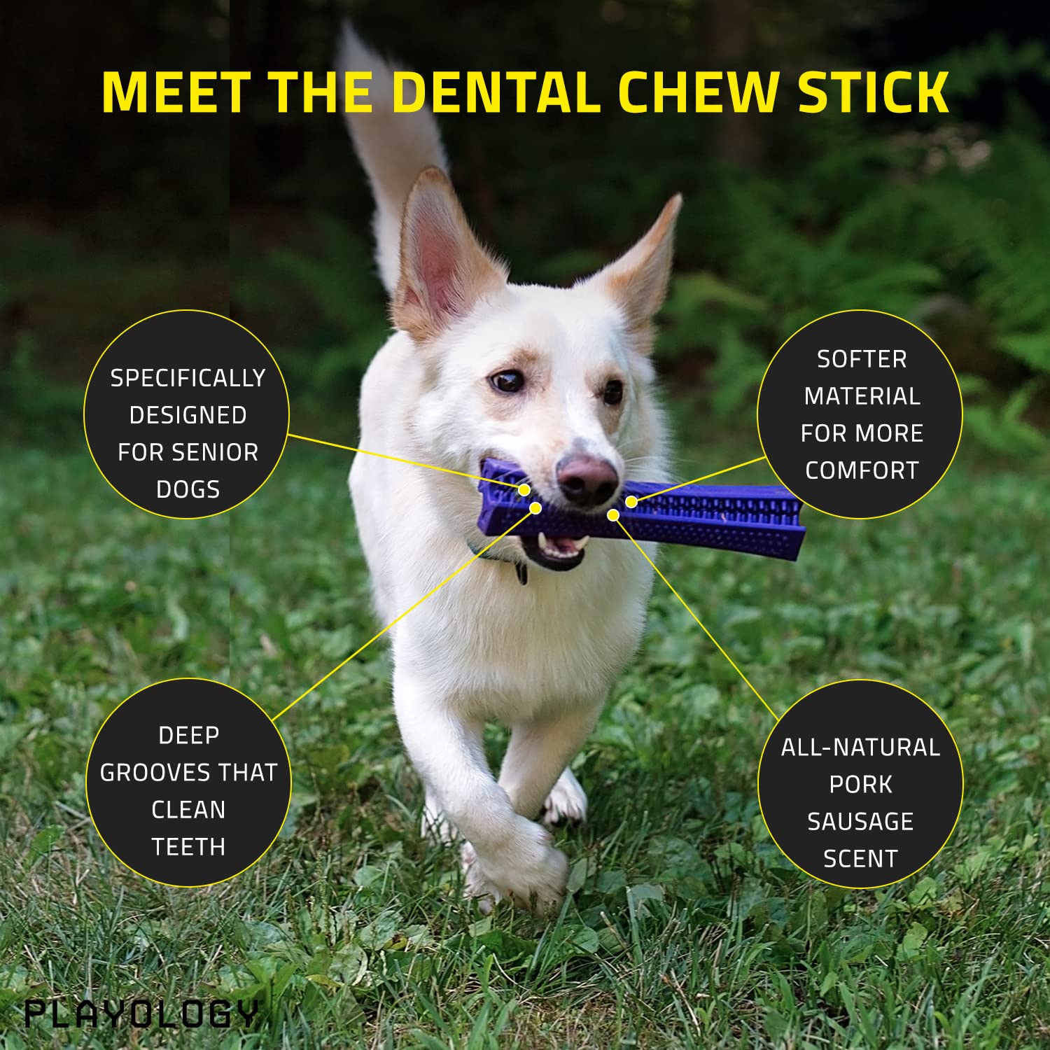 Playology Silver Dental Chew Stick Dog Toy, Large - Designed for Senior Dogs (35lbs and Up) - Engaging All-Natural Pork Sausage