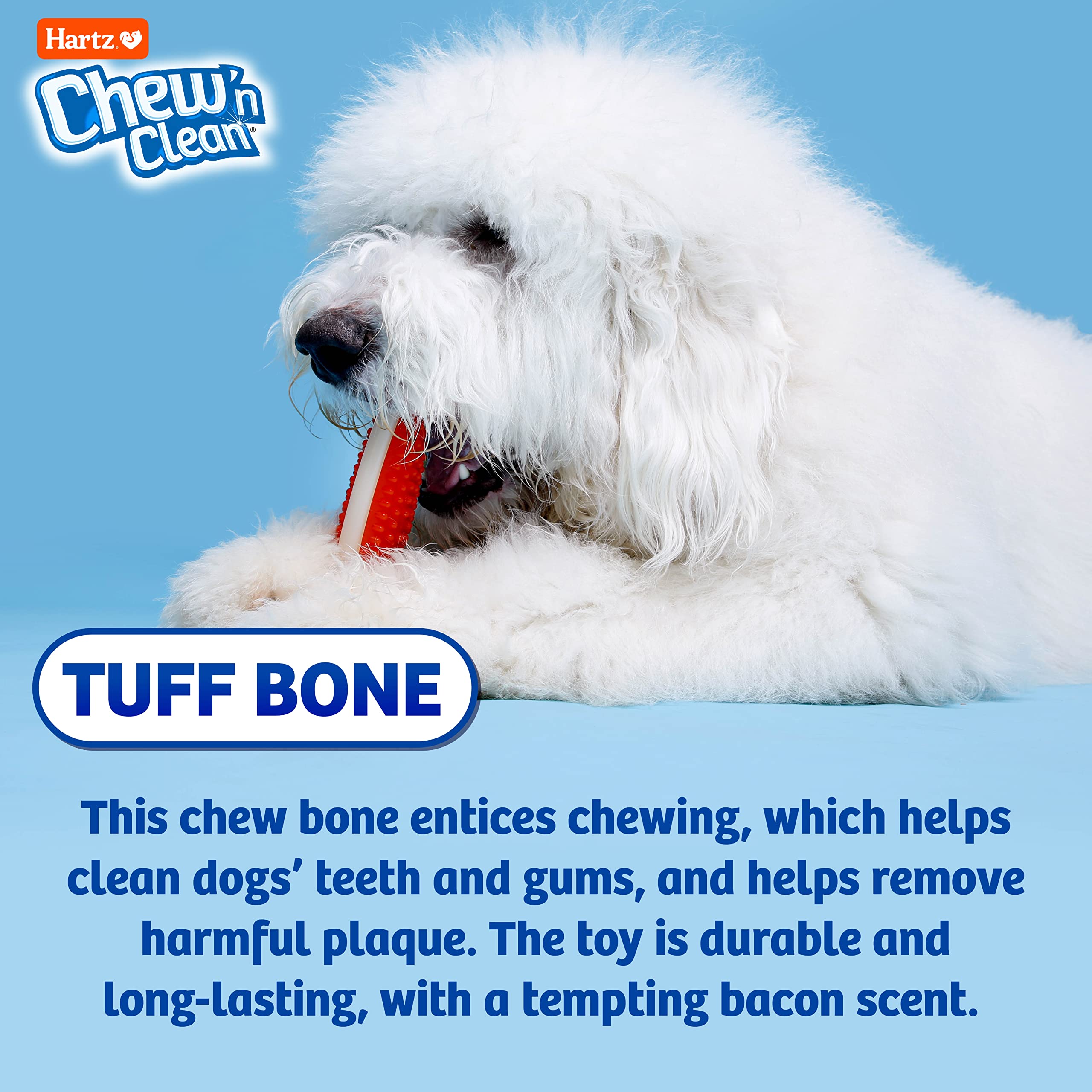 Hartz Chewn Clean Bone Small