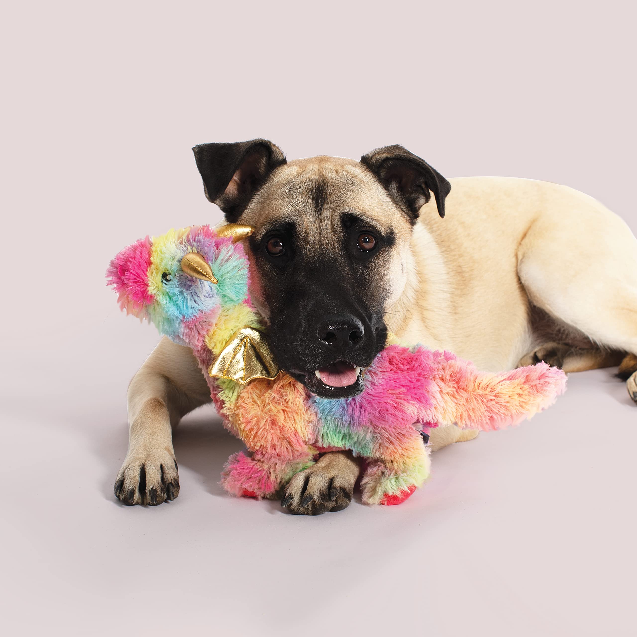 Fringe Studio Dog Toy, Rainbow Dragon-Plush Pet Toy (289365)
