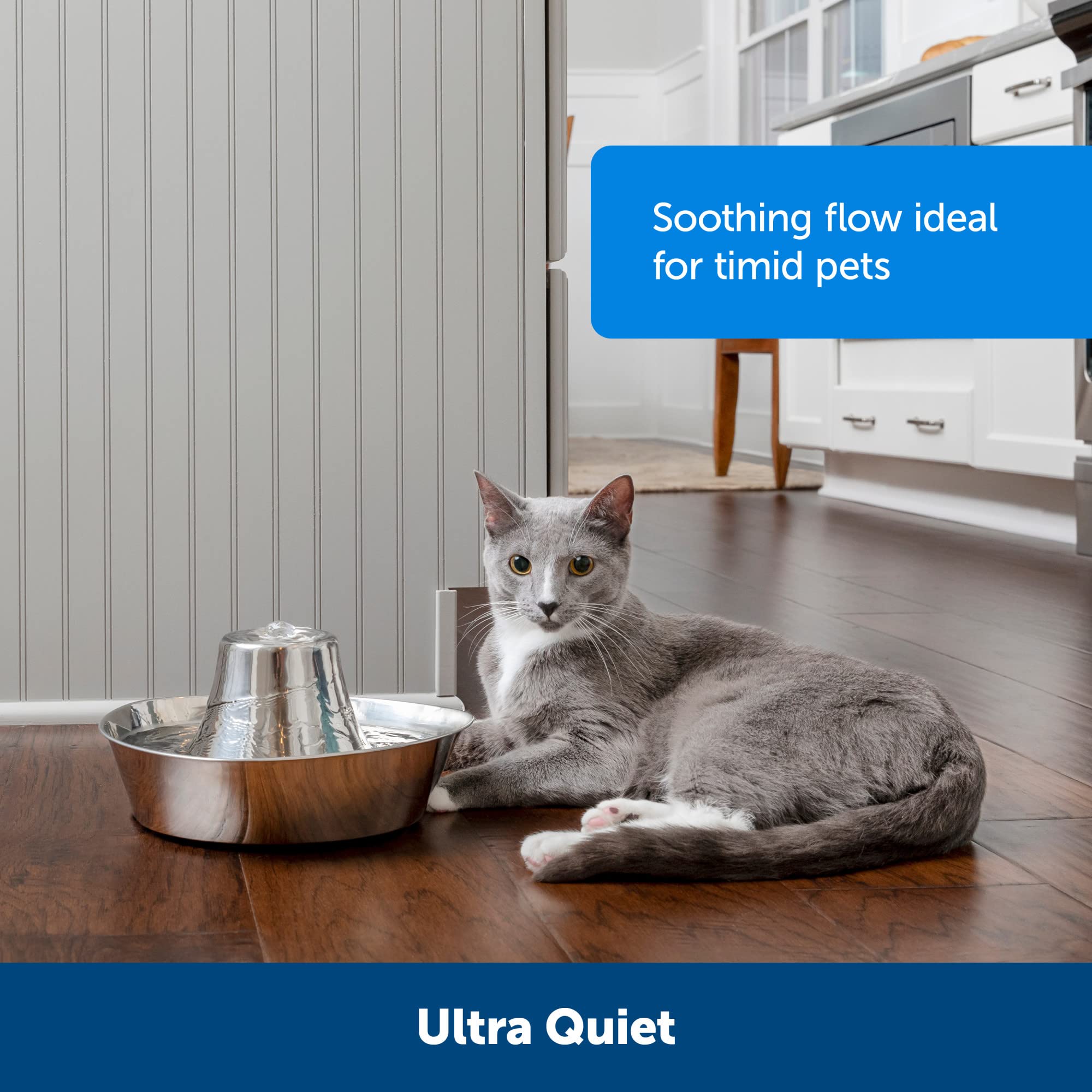 Petsafe Seaside Pet Water Fountain (60 Oz/1.8L Water Capacity) Stainless Steel Cat Water Fountain, Helps Prevent Pet Acne, Scratch And Rust-Resistant Material