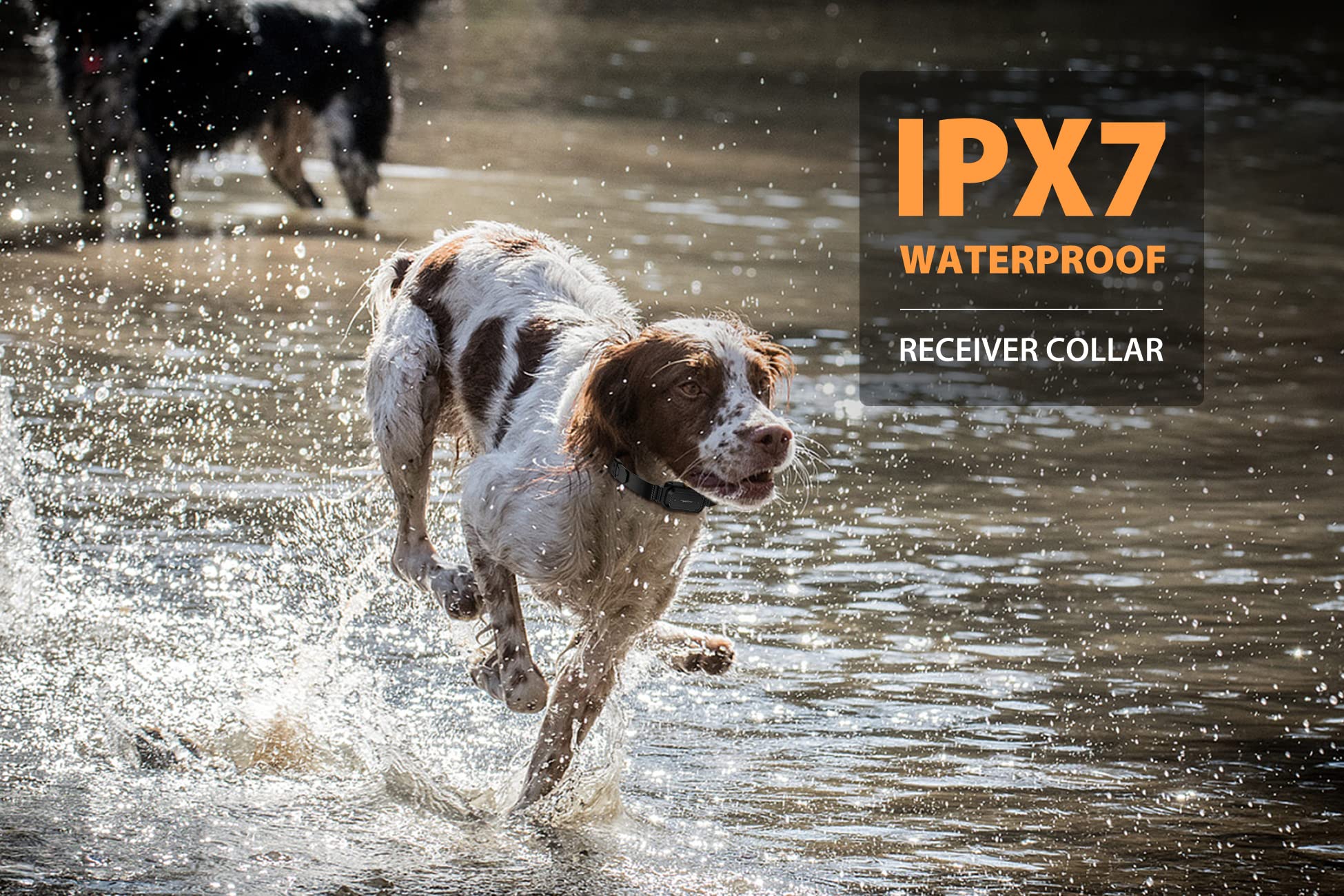 Patpet Dog Training Collar With Remote- 3/4 Mile Range E Collar Waterproof Rechargeable Shock Collar For Large Dog(15-140Lbs)