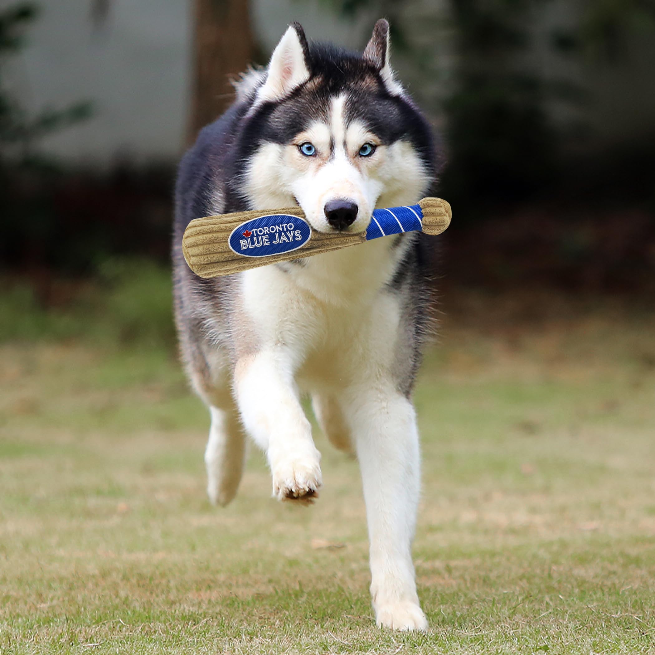 Mlb Toronto Blue Jays Baseball Bat Toy For Dogs & Cats. Soft Corduroy Plush Dog Toy With Inner Squeaker, Mlb Chew Toys For Dogs