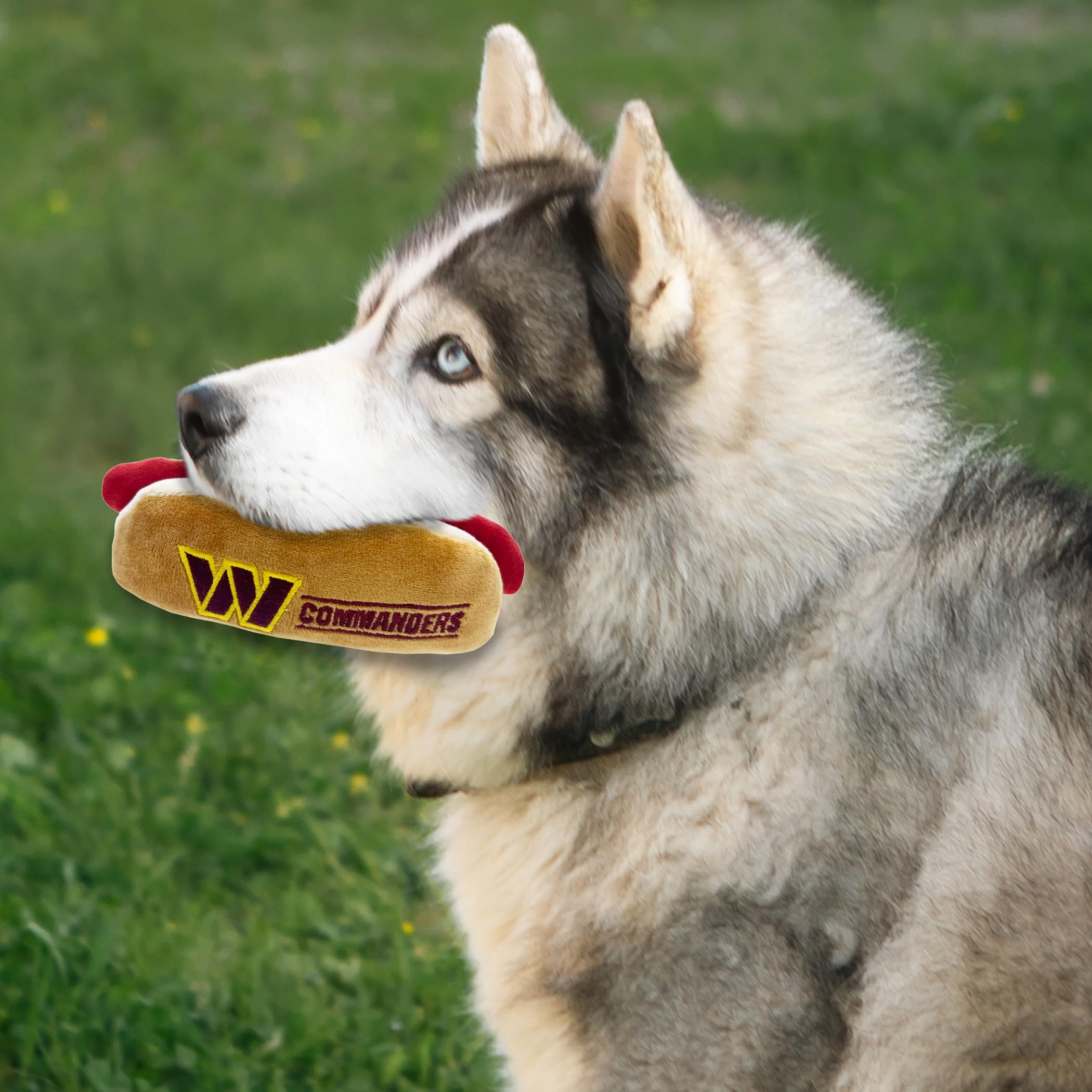 Pets First NFL Washington Commanders HOT Dog Plush Dog & CAT Squeak Toy - Cutest HOT-Dog Snack Plush Toy for Dogs & Cats with In