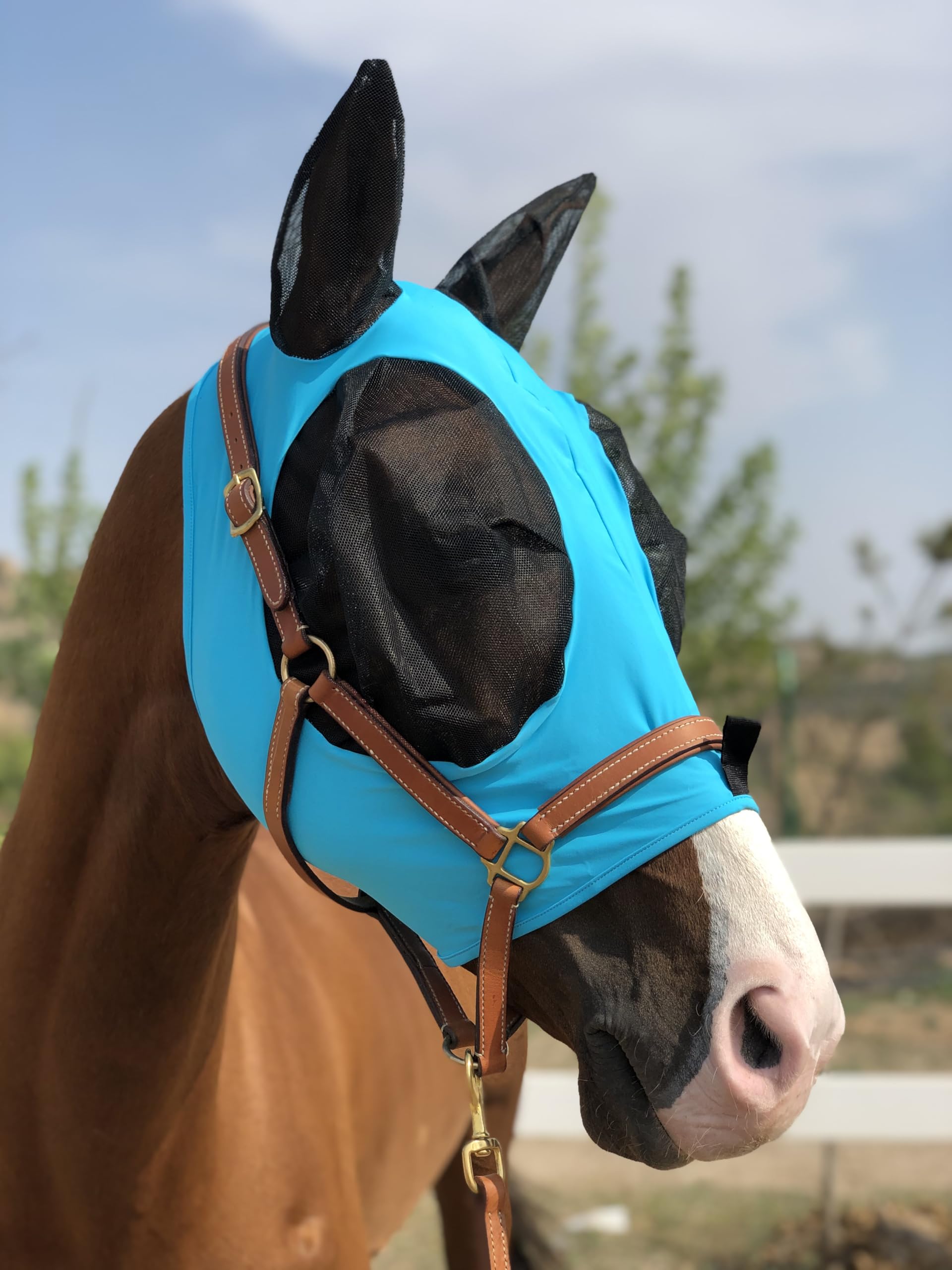 Horse Fly Mask Super Comfort Elasticity Horse Fly Mask with Ears We Only Make Products That Horses Like (Pacific Blue, L)