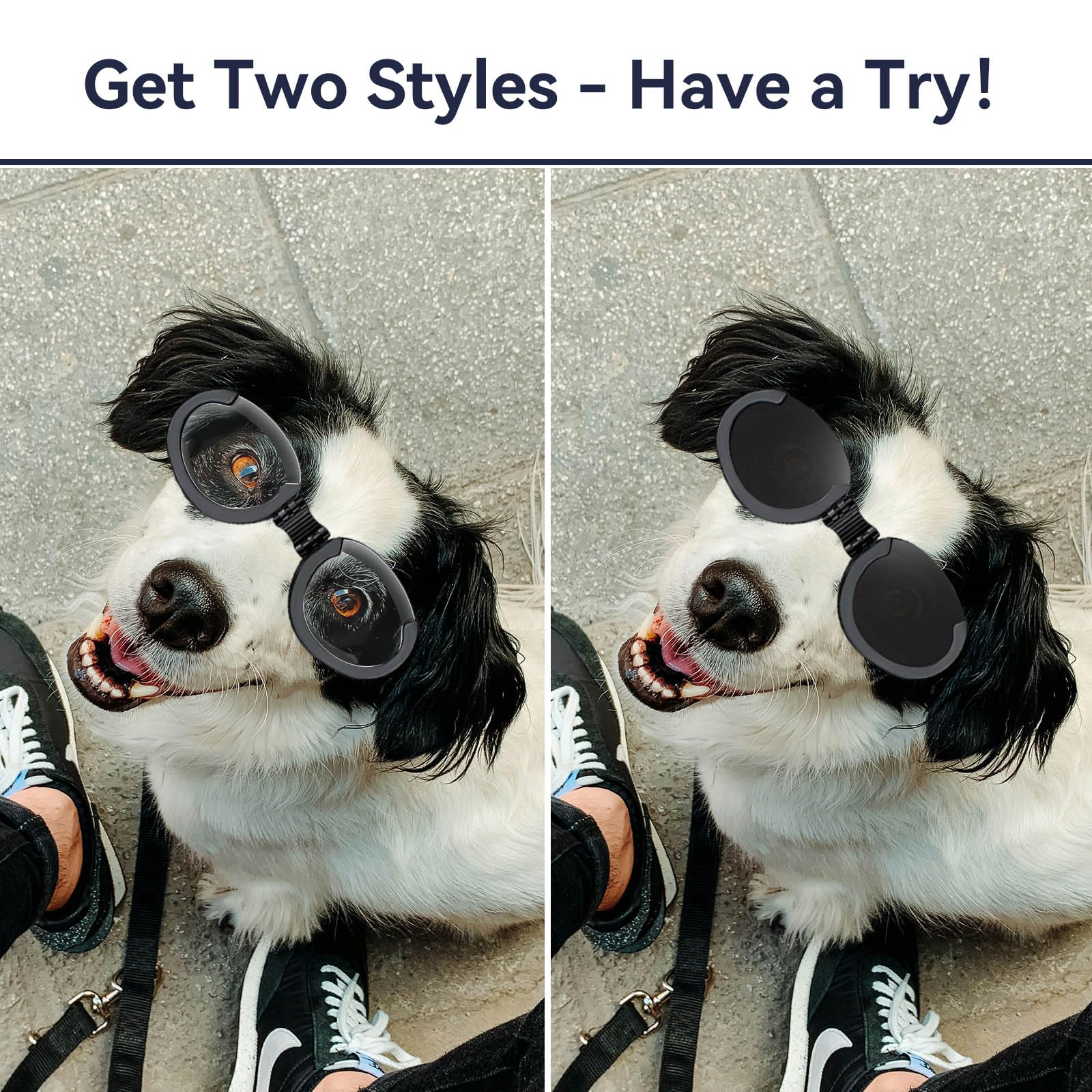 Namsan Clear Dog Goggles Medium Breed, With Black Replaceable Lenses, Interchangeable Doggie Sunglasses For Small To Medium Dogs