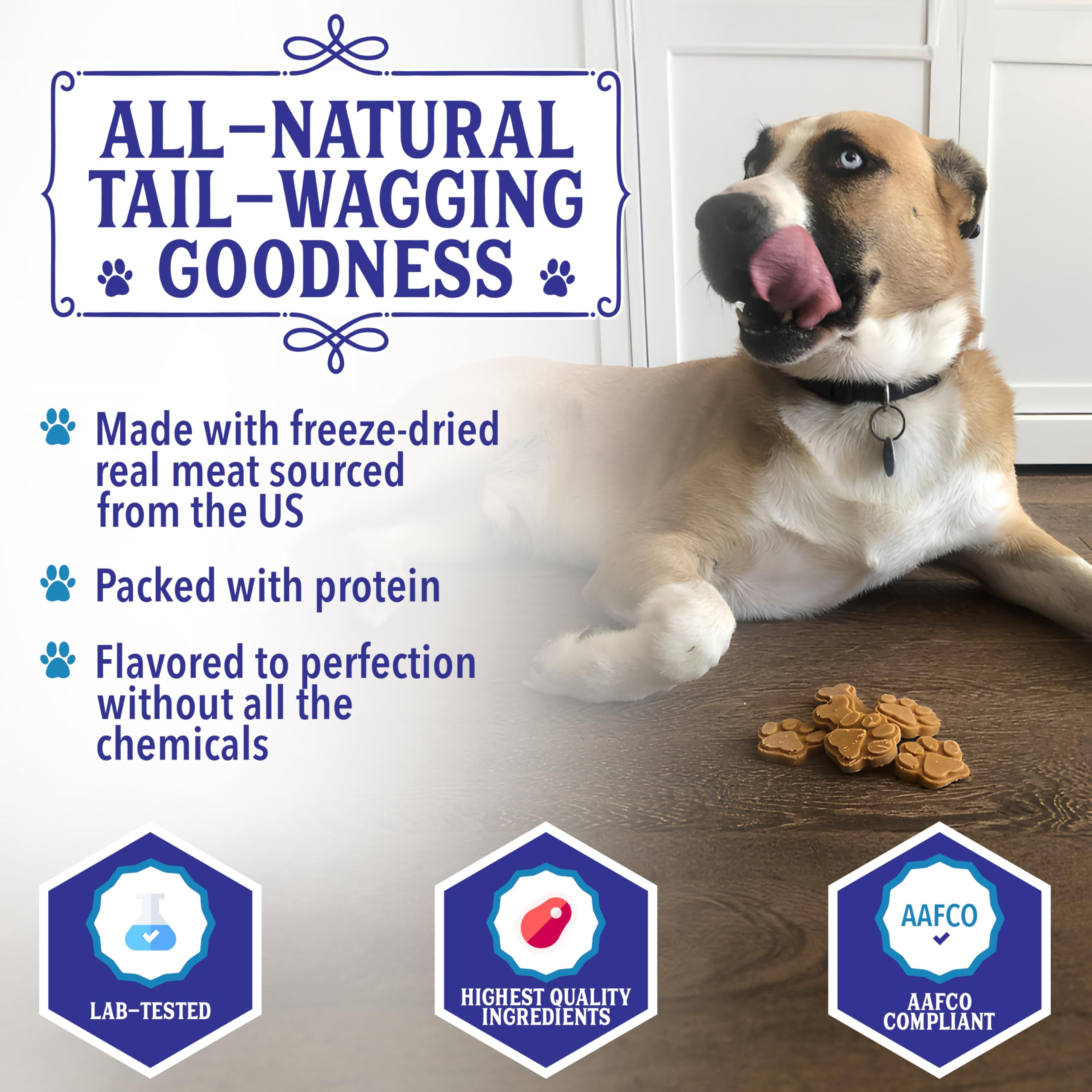 Coopers Treats Pupsicle Starter Kit - Easy, Homemade Frozen Dog Treat Kit - Healthy, Delicious Dog Ice Cream Mix - Make Your Ow