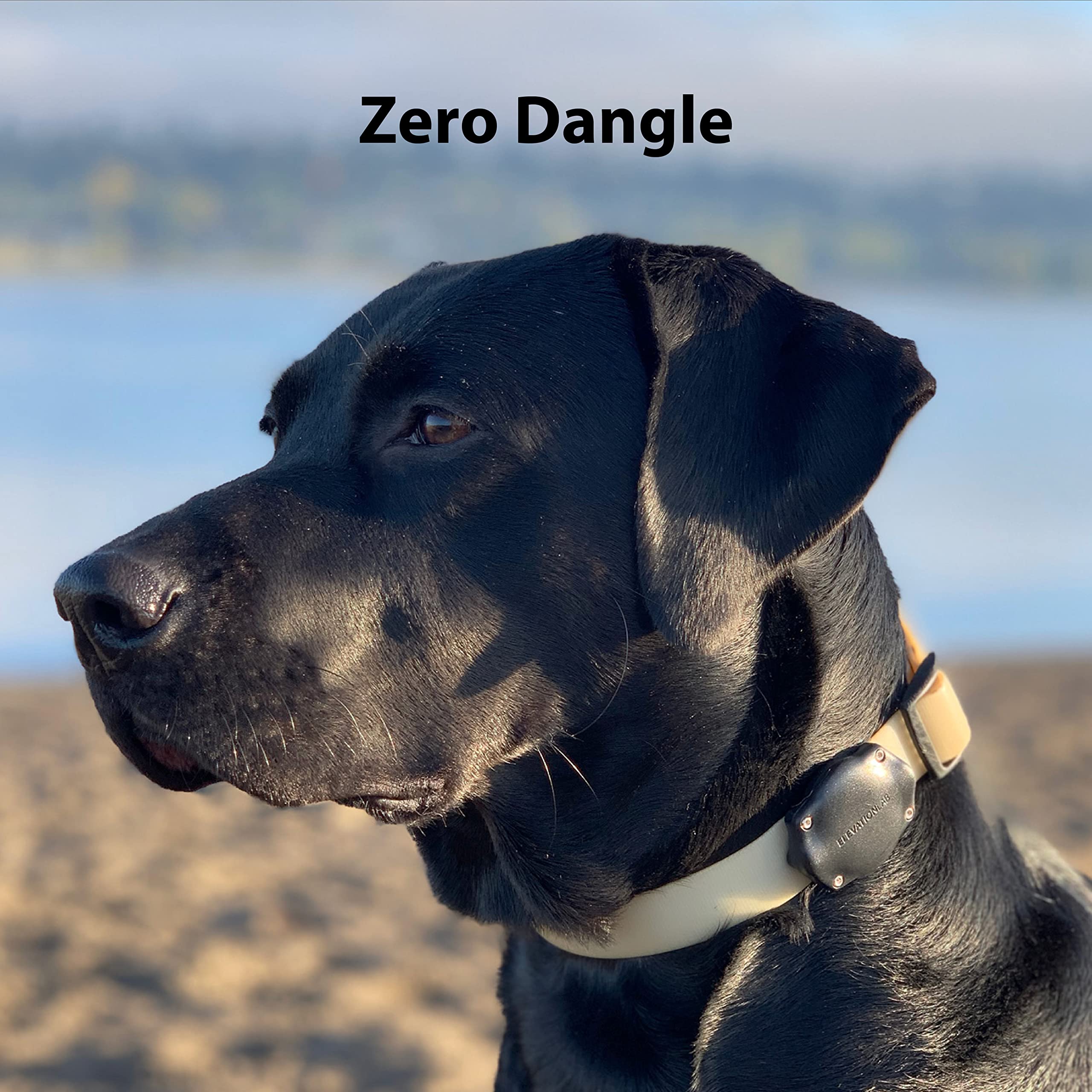 Elevation Lab Tagvault Pet - The Most Secure Airtag Dog Collar Mount | Ip68 Waterproof, Fits All Width Collars