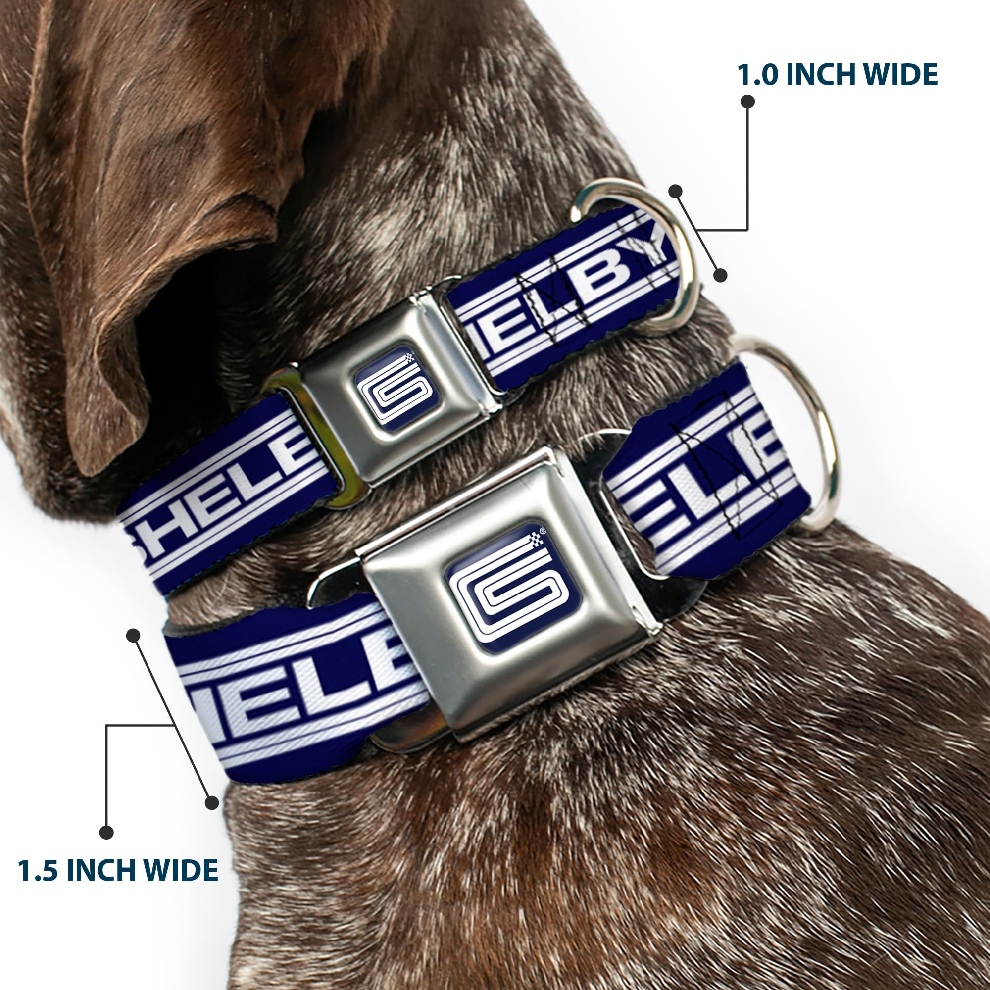 Buckle-Down Dog Collar Seatbelt Buckle Carroll Shelby Cs Shelby Racing Logo Block Navy White 15 To 24 Inches 1.0 Inch Wide, Dc-S