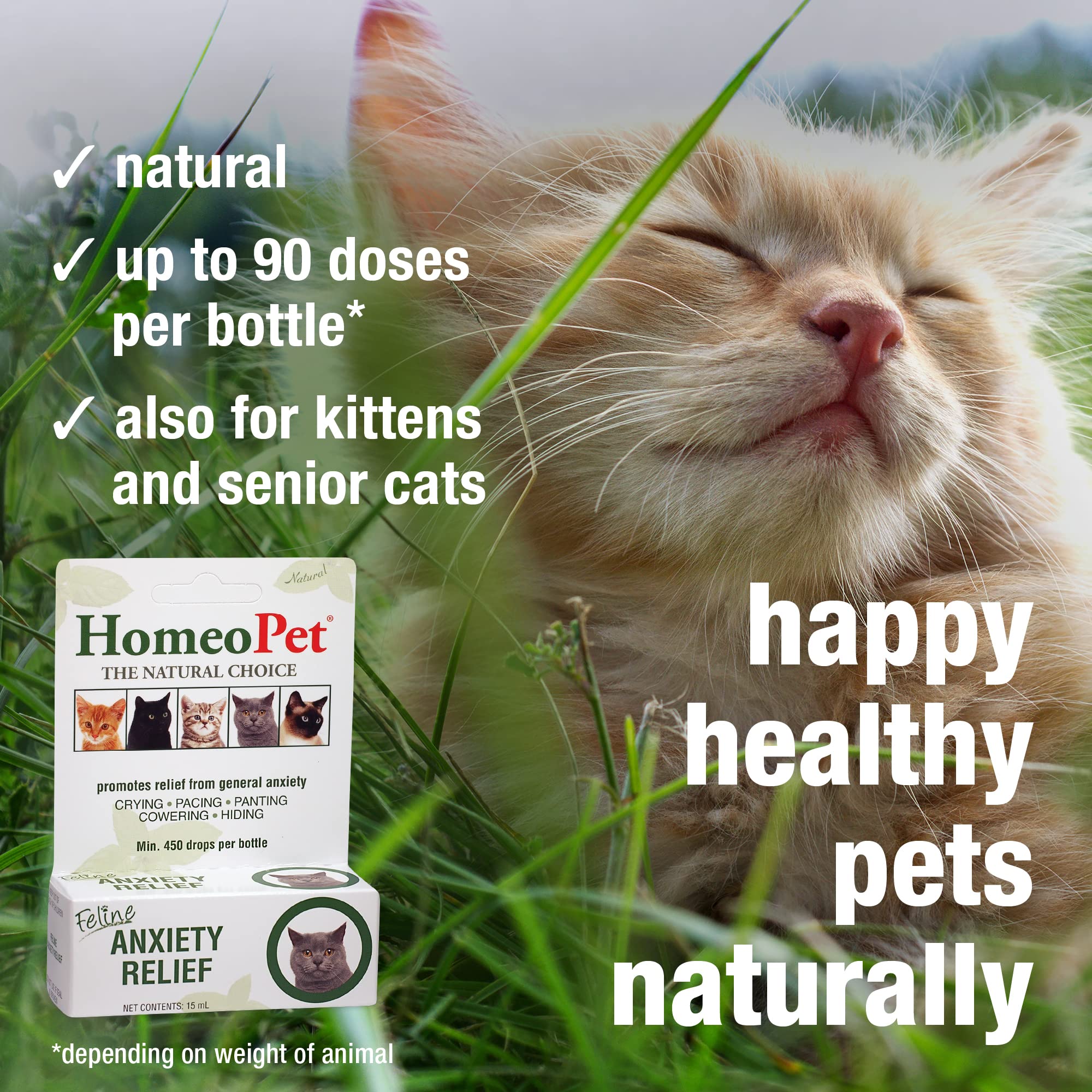 Anxiety Relief Medicine for Cats