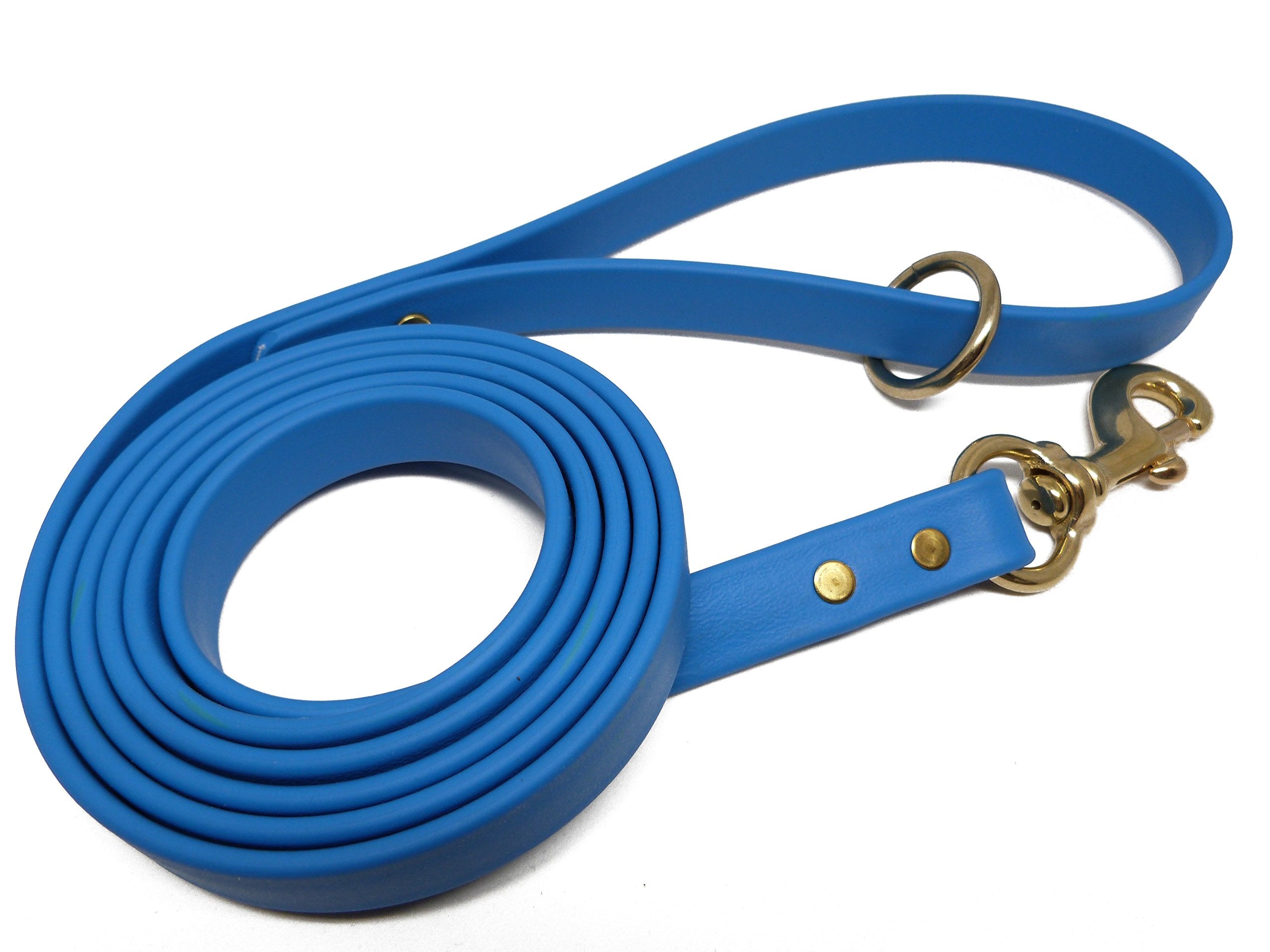 Jim Hodges Dog Training Gummy Dog Leash, Biothane, Dog Training Leash, Made In The Usa, 4 Feet, Various Sizes & Colors (3/4, Light Blue)