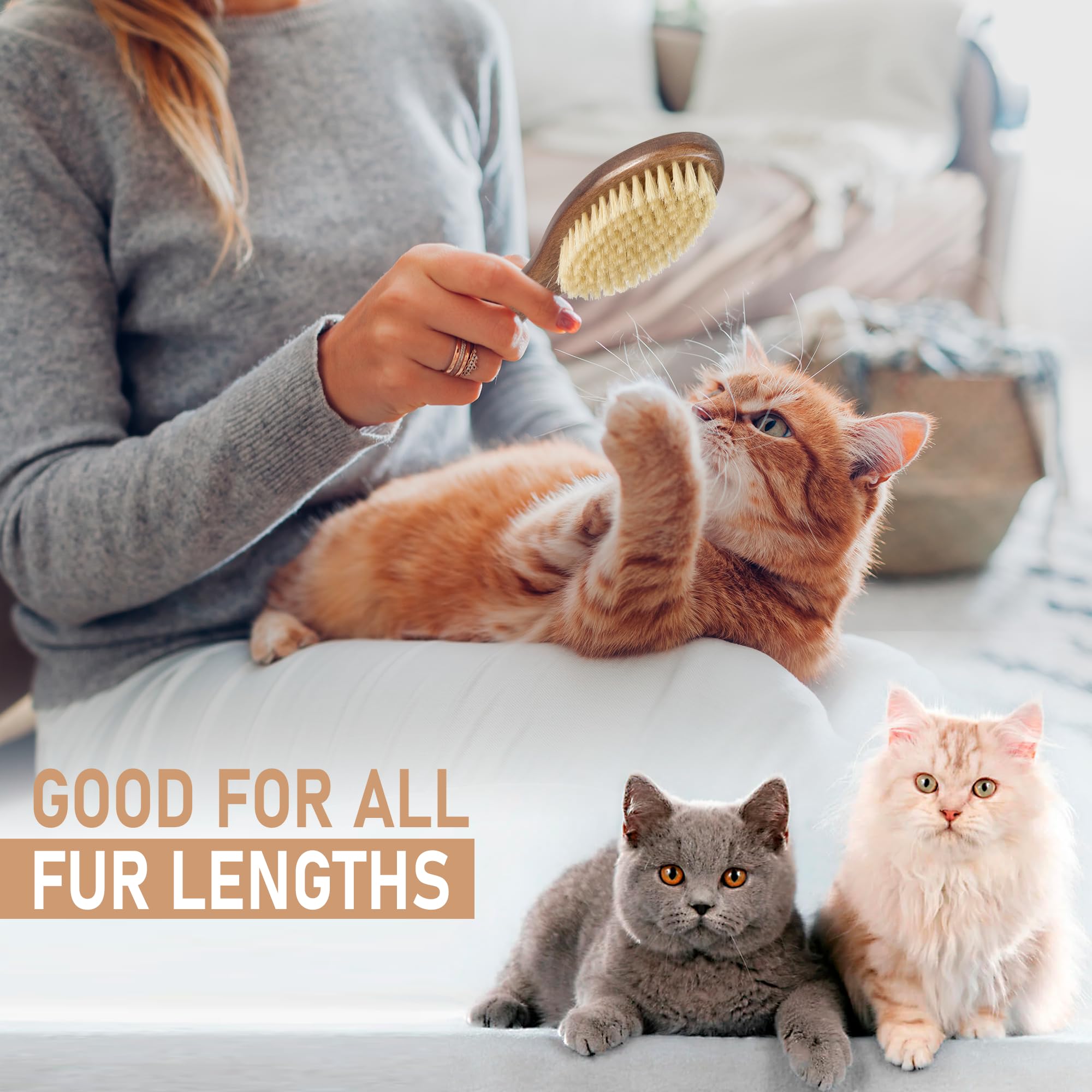 Takavu Natural White Boar Bristle Cat Brush - Gentle Grooming Tool For Sensitive Skin, Smoothing Fur & Healthy Shine - Soft Pet