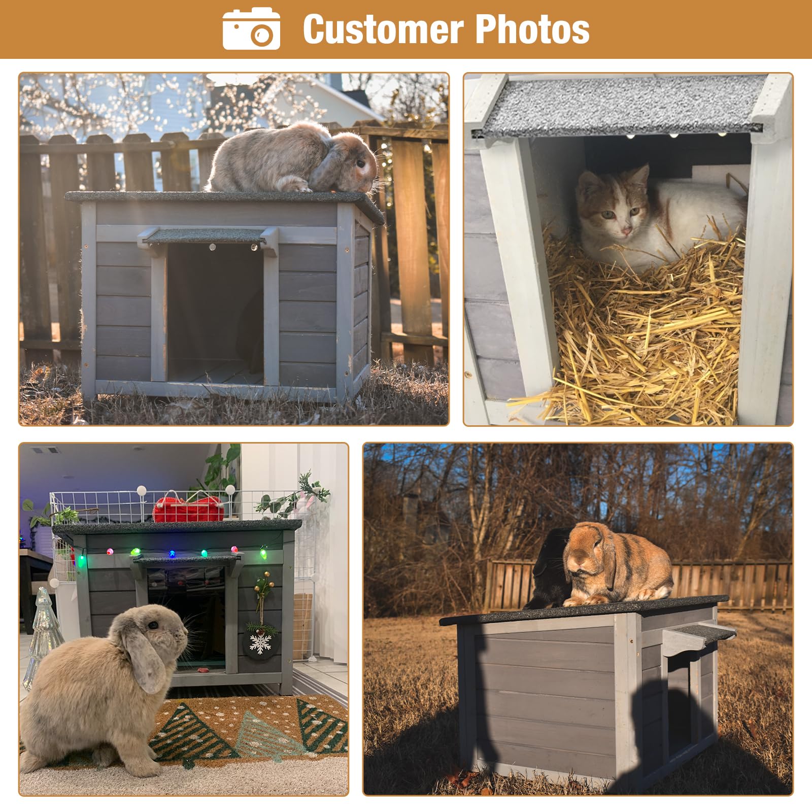 Outdoor Cat House Feral Cat Enclosure, Small Pet House Bunny Cage Outside, Rainproof Cat House