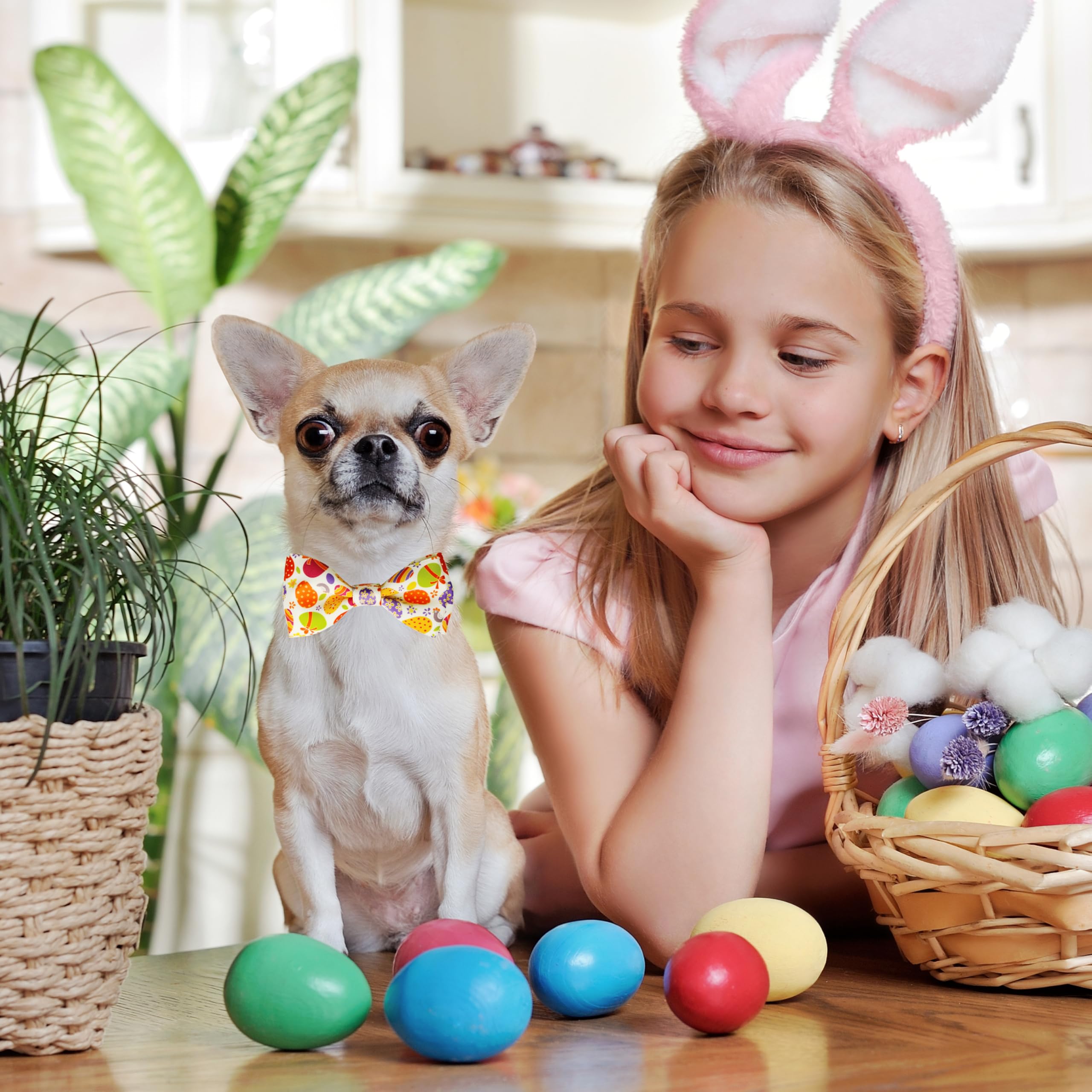 Easter Dog Bow Tie Collar, Adjustable Colorful Egg Pattern Pet Collar With Detachable Bowtie, Festive And Comfortable For Small