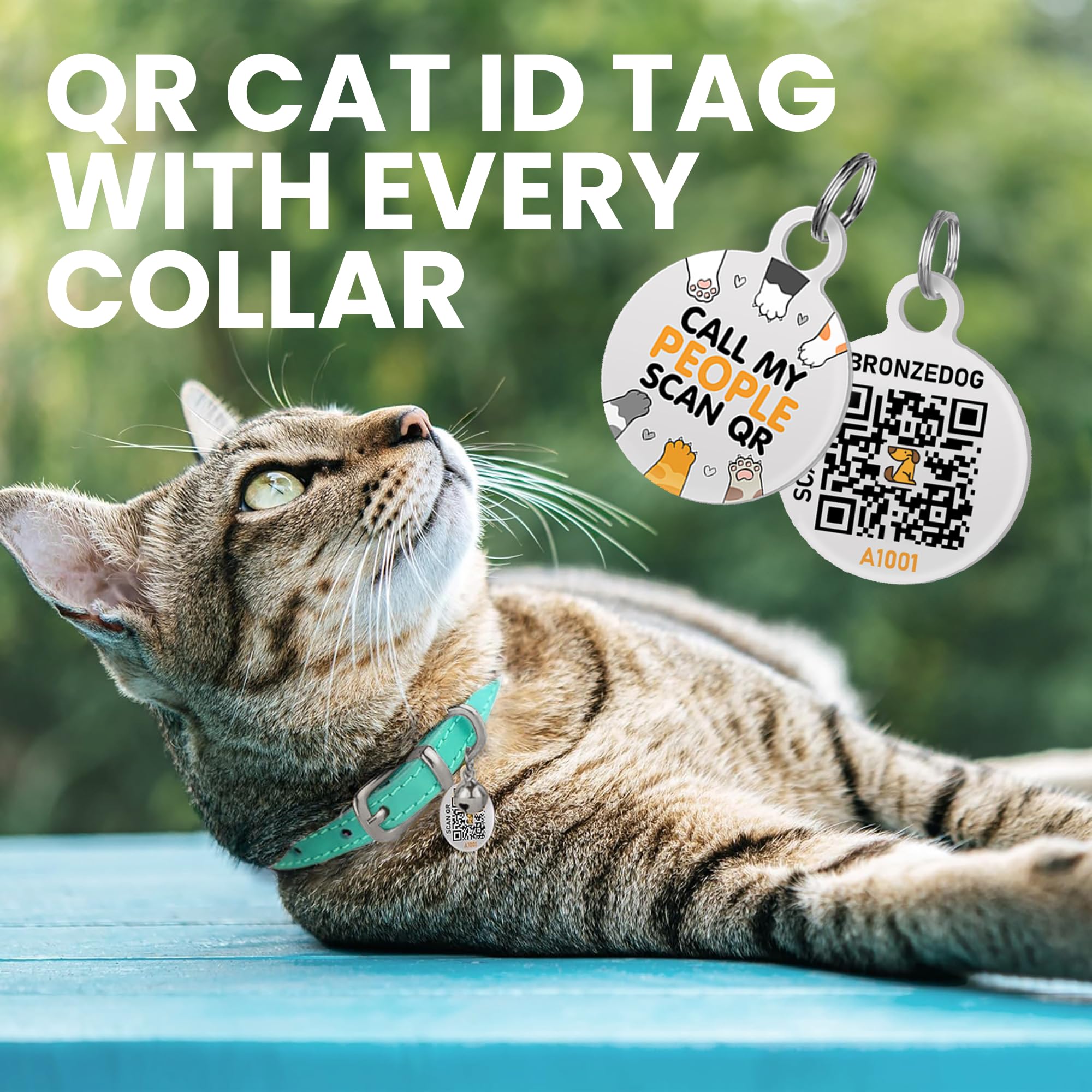 Bronzedog Leather Cat Collar With Removable Bells Non Breakaway Kitten Qr Tag For Girl Boy (7'' - 9'' For Cats, Turquoise & Silv