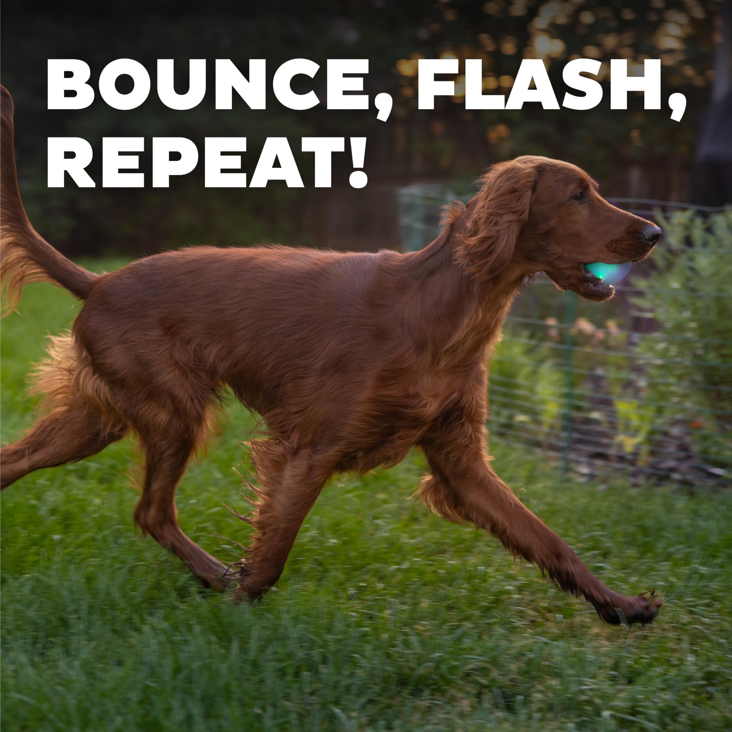 Outward Hound By Planet Dog Strobe Light Up Led Ball Dog Toy, Green