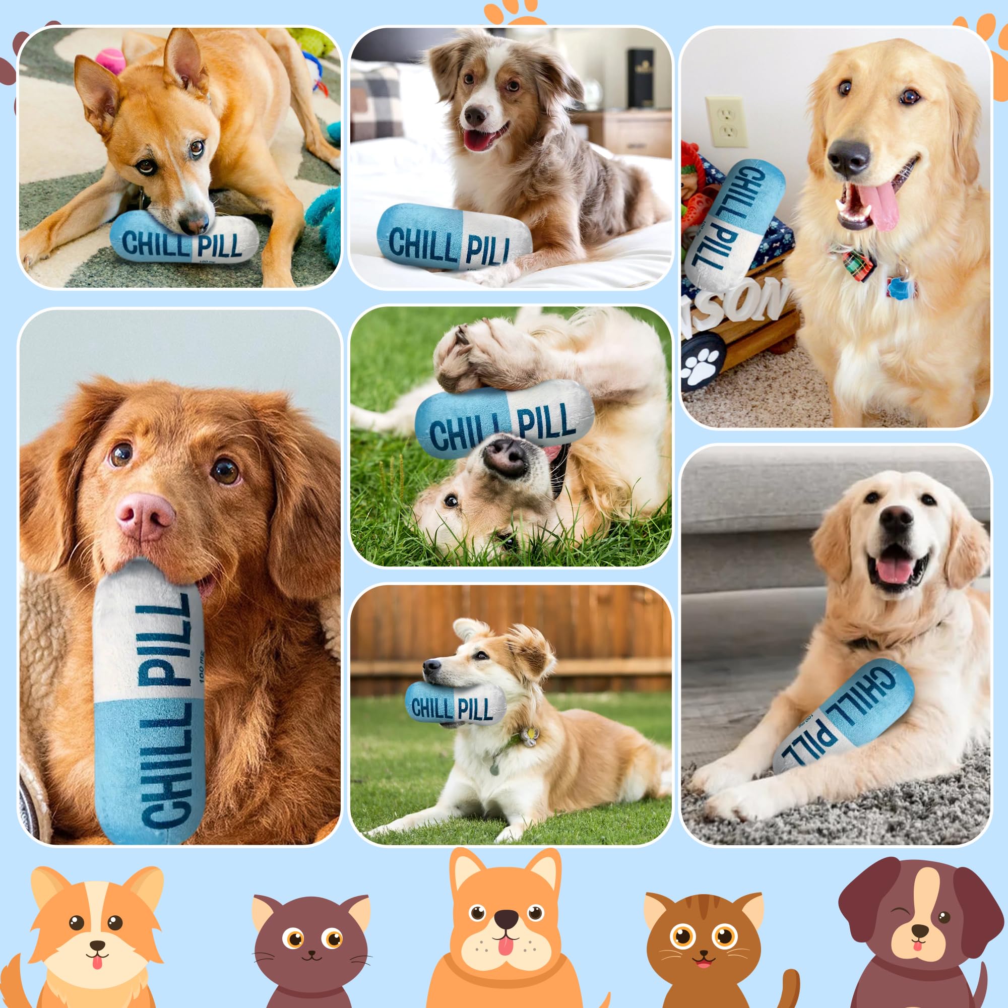 Cuweipeng Squeaky Dog Chew Toy - Blue Chill Pill Capsule Teething Funny Small Dog Squeaky Soft Plush Pet Toy Bite Kick Indoor In