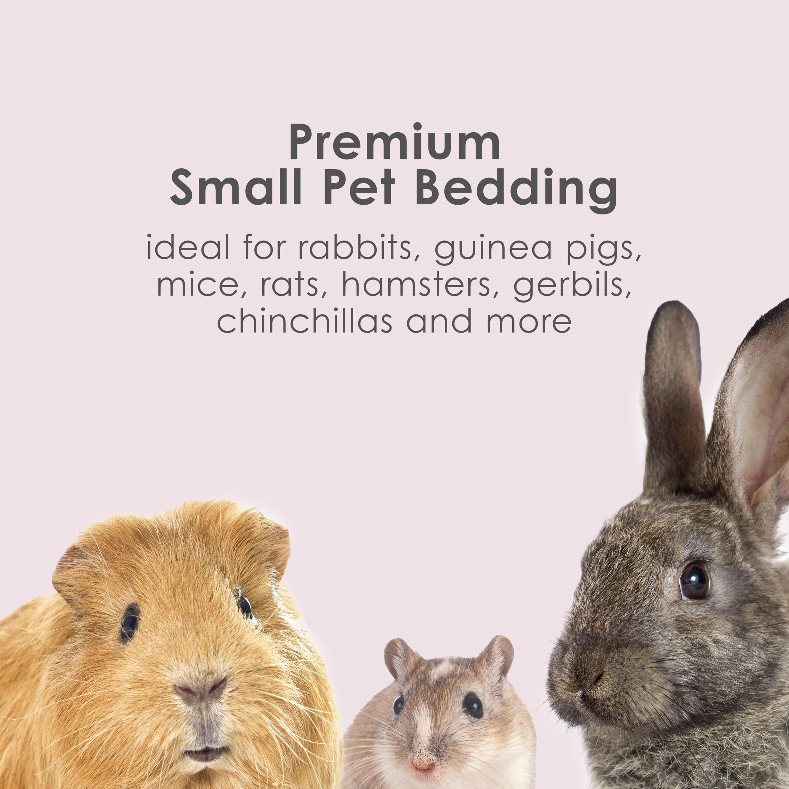 Kaytee Clean & Cozy Colors, Small Animal Bedding With Extreme Odor Control, Plum, 49.2 Liters