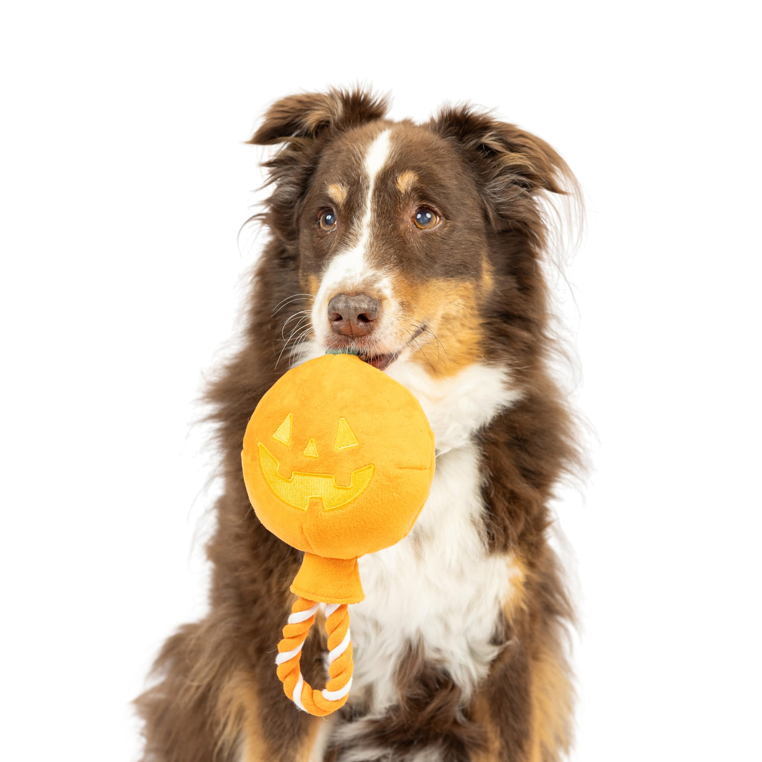 Huxley & Kent For Dogs | Jack-O-Lantern Safety Pop | Halloween Fall Power Plush Dog Toy With Squeaker | Funny Dog Toy | Cute Dog Toy | H&K Squeaky Dog Toy