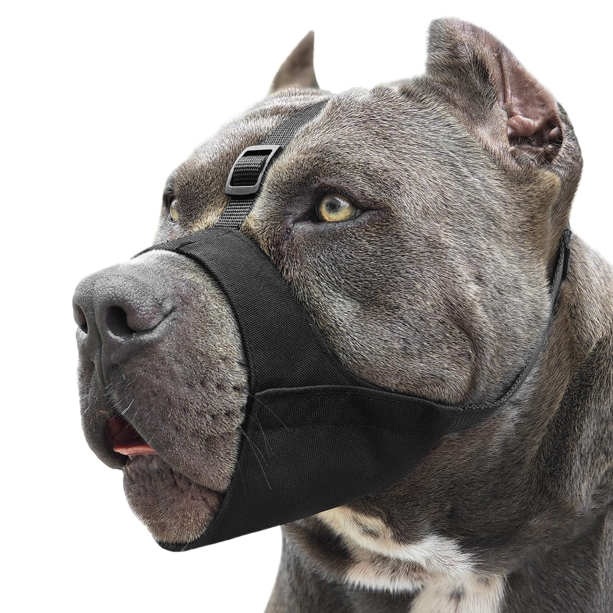 Mayerzon Pitbull Muzzle, Soft Dog Muzzle with Anti-Slip Strap for American Bully Bulldog Boxers Rottweilers, Fabric Mouth Guard 