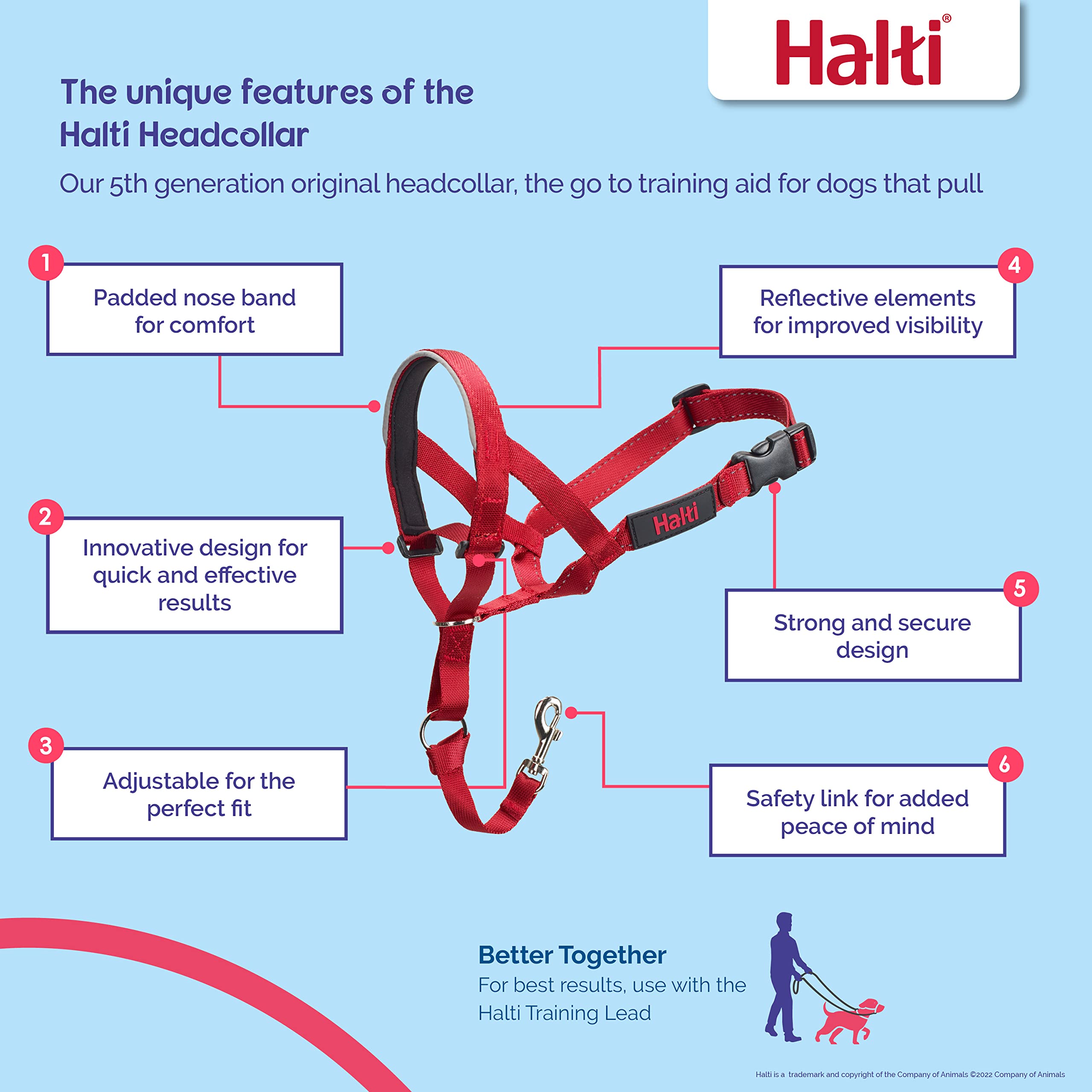 The Company Of Animals - Halti Headcollar - Adjustable And Padded - No Pull Training Tool For Dogs On Walks - Includes Free Trai