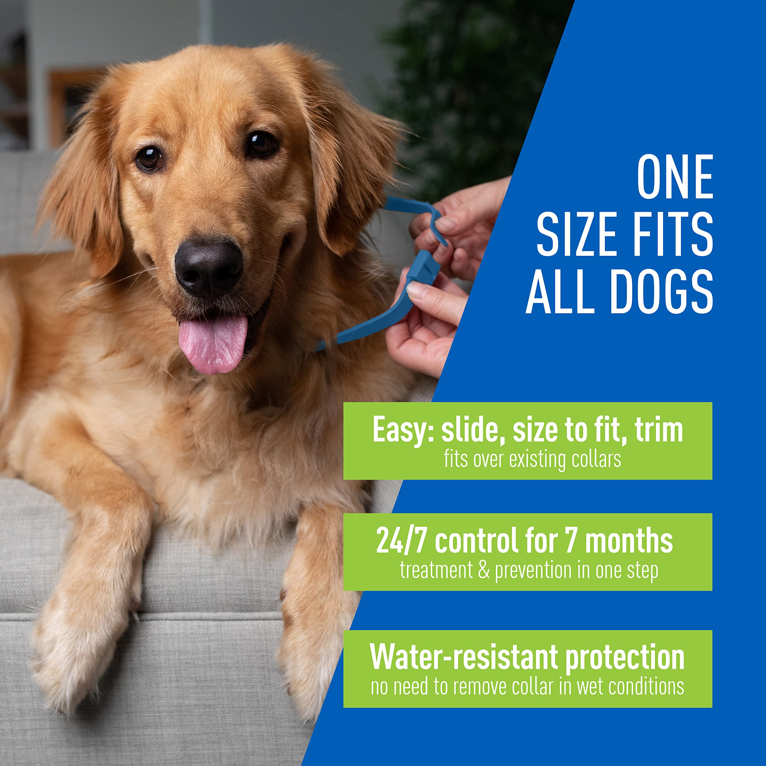 Adams Flea & Tick Control Collar For Dogs, 7-Month Protection, Adjustable One Size Collar Fits All, Kills And Repels Fleas, Ticks, Flea Eggs & Flea Larvae