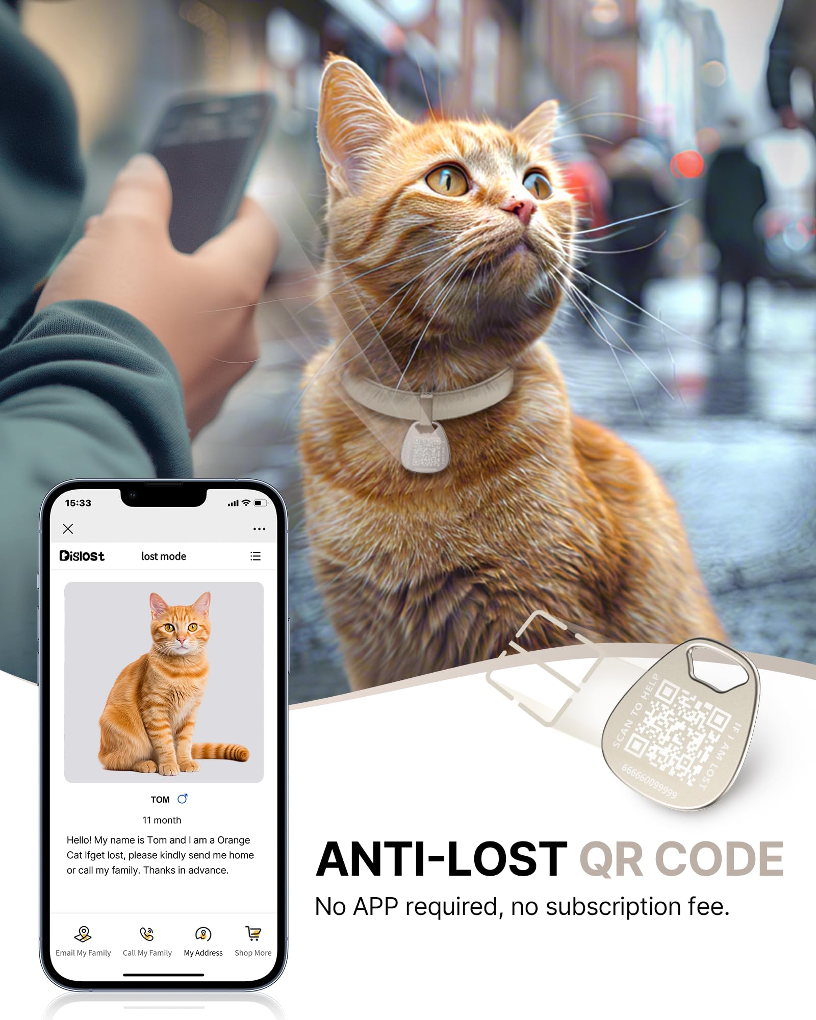 Cat Collar With Name Tag Breakaway: Kitten Collars With Qr Code Id Tag For Girl Boy Cats, Ultra Soft & Elastic Adjustable (6'-1