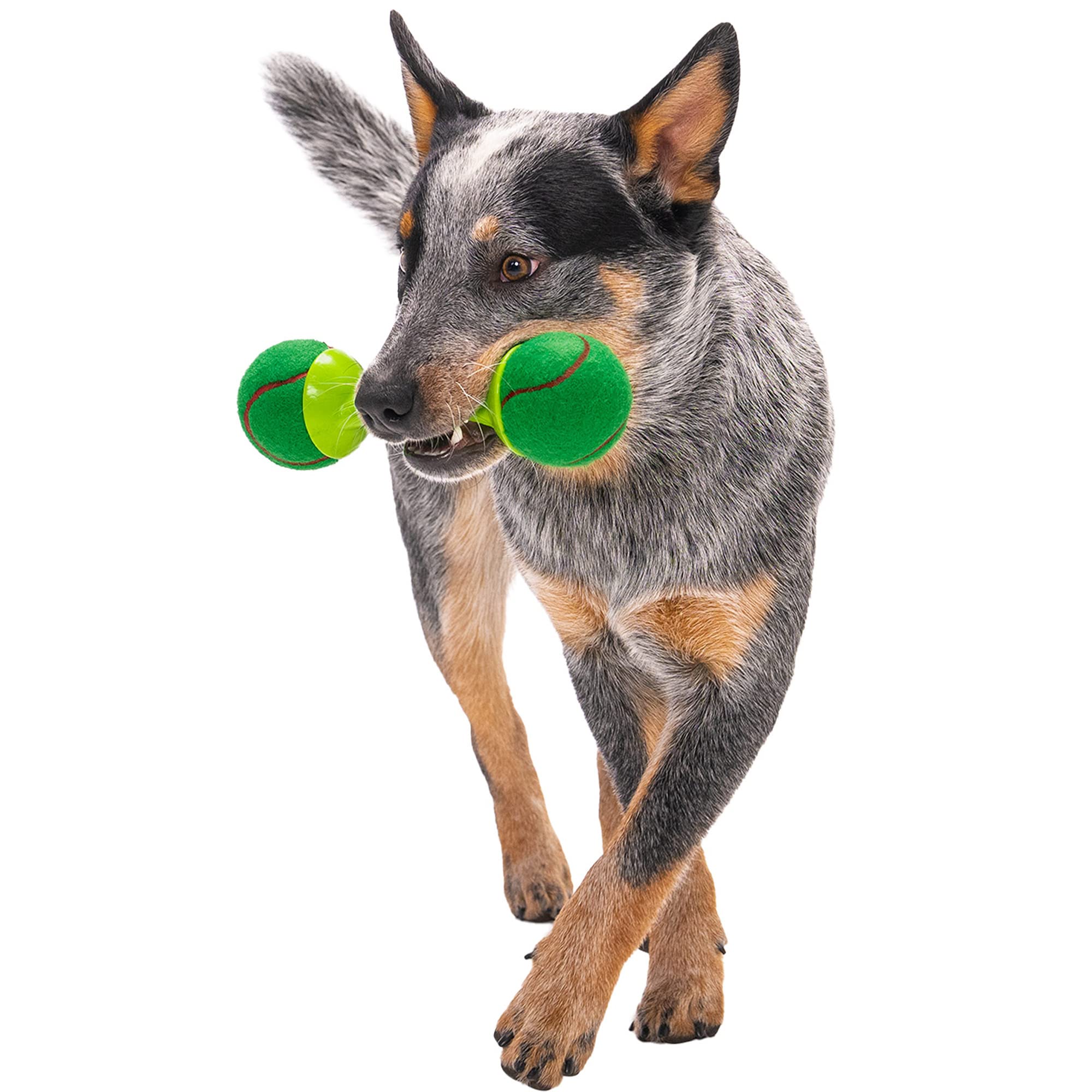 goDog goBone Double-Sided Tennis Ball Dog Toy - Large, Rubber, Green/Red, Model 74006