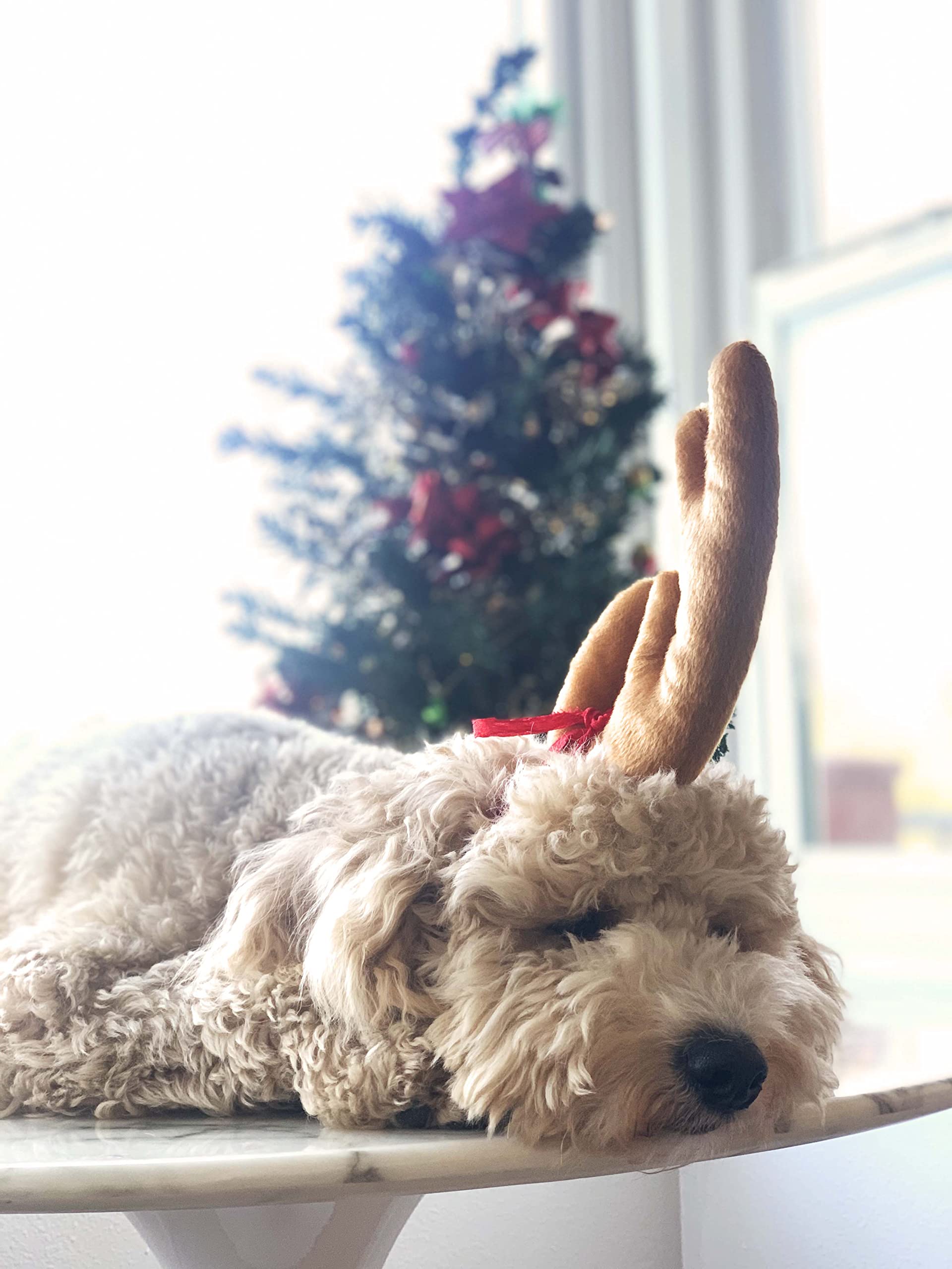 ComfyCamper Reindeer Antler Dog Halloween Costume - Headband Max Puppy Puppies Cat Kitten Pet Deer Moose Head Band, S