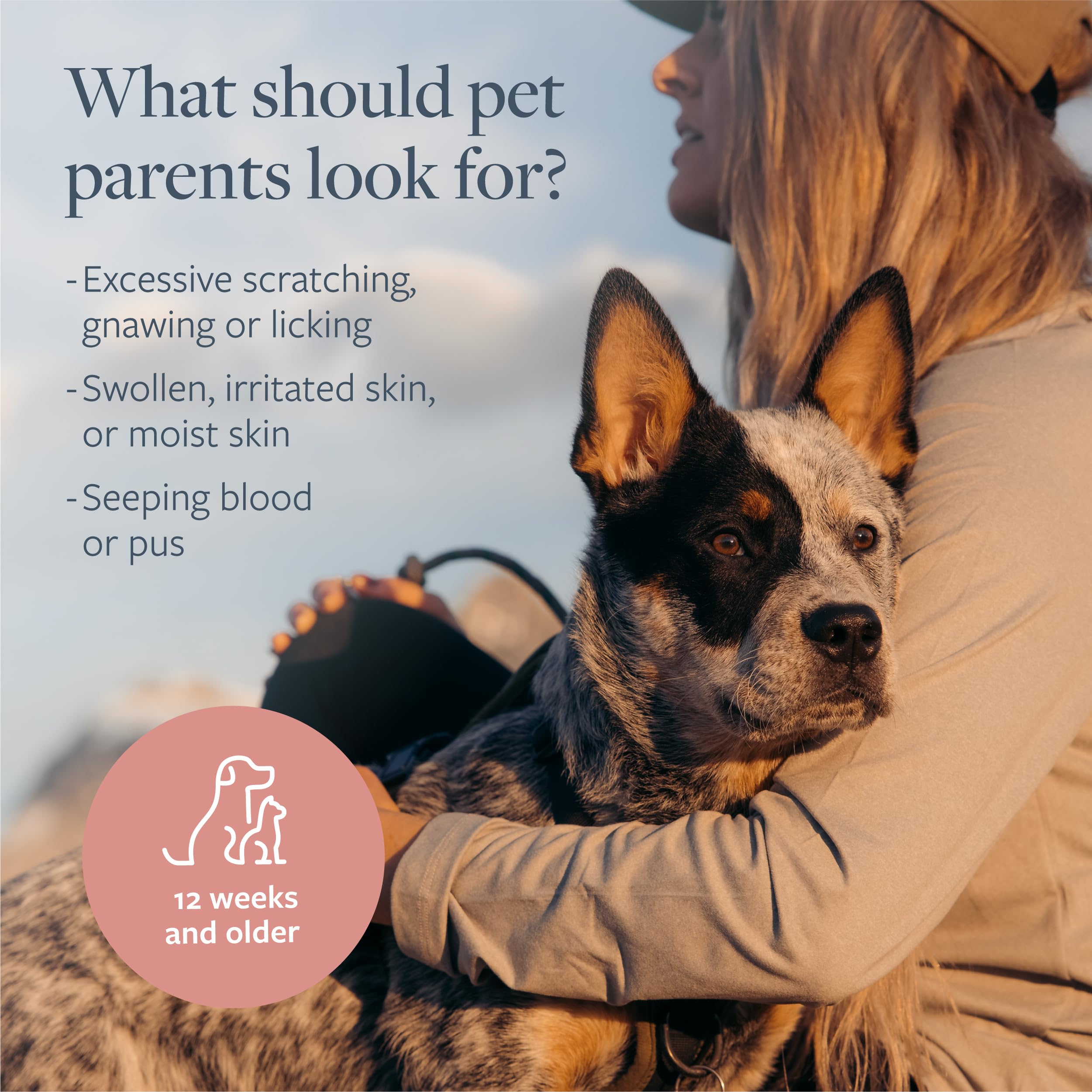 Veterinary Formula Hot Spot & Itch Relief Spray for Dogs & Cats, 8oz - Alleviates Sensitive Skin, Scratching & Licking