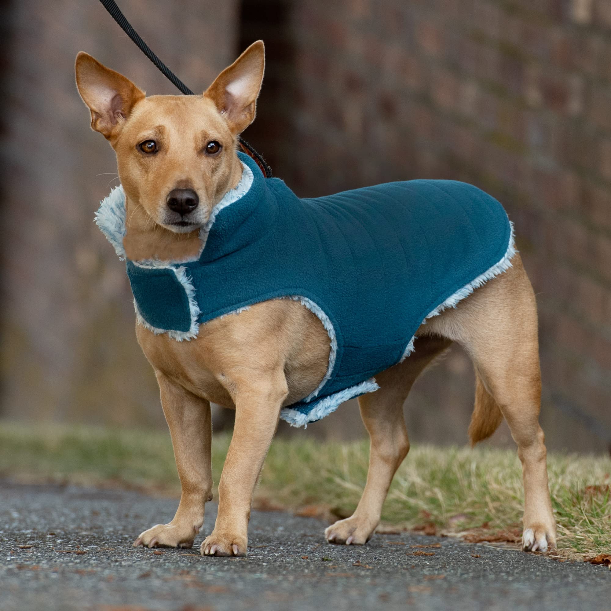 Furhaven Reversible Small Dog Coat, Washable & Insulating W/ Leash Access - Two-Tone Faux Fur & Quilted Fleece Flex-Fit Jacket - Marine Blue, Small