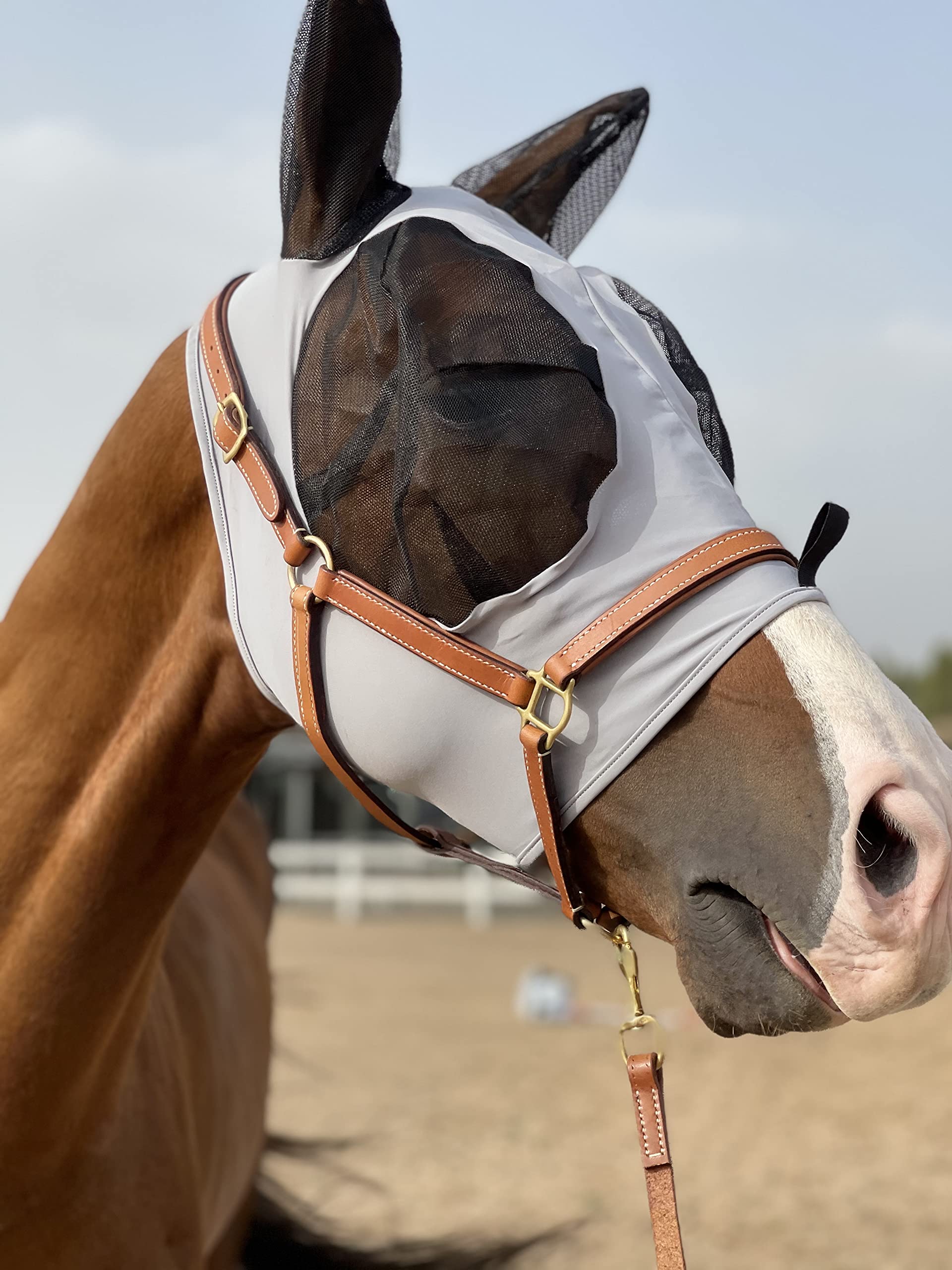 Horse Fly Mask Super Comfort Horse Fly Mask Elasticity Fly Mask with Ears We Only Make Products That Horses Like (Gray, M)