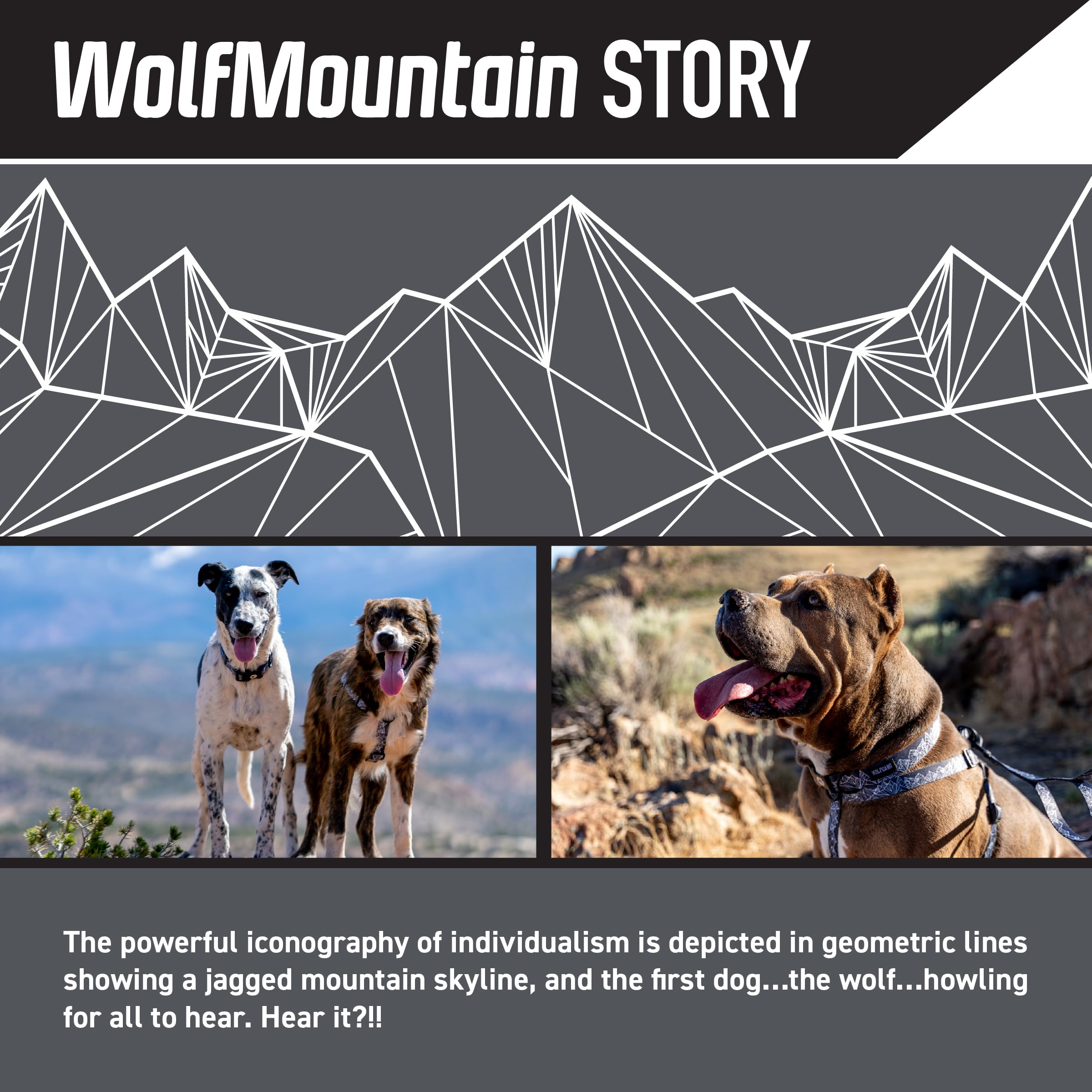 Wolfgang Heavy Duty Adjustable Dog Harness, Pull-Tested to Over 800 lbs for Walking & Training, WolfMountain Print, Small