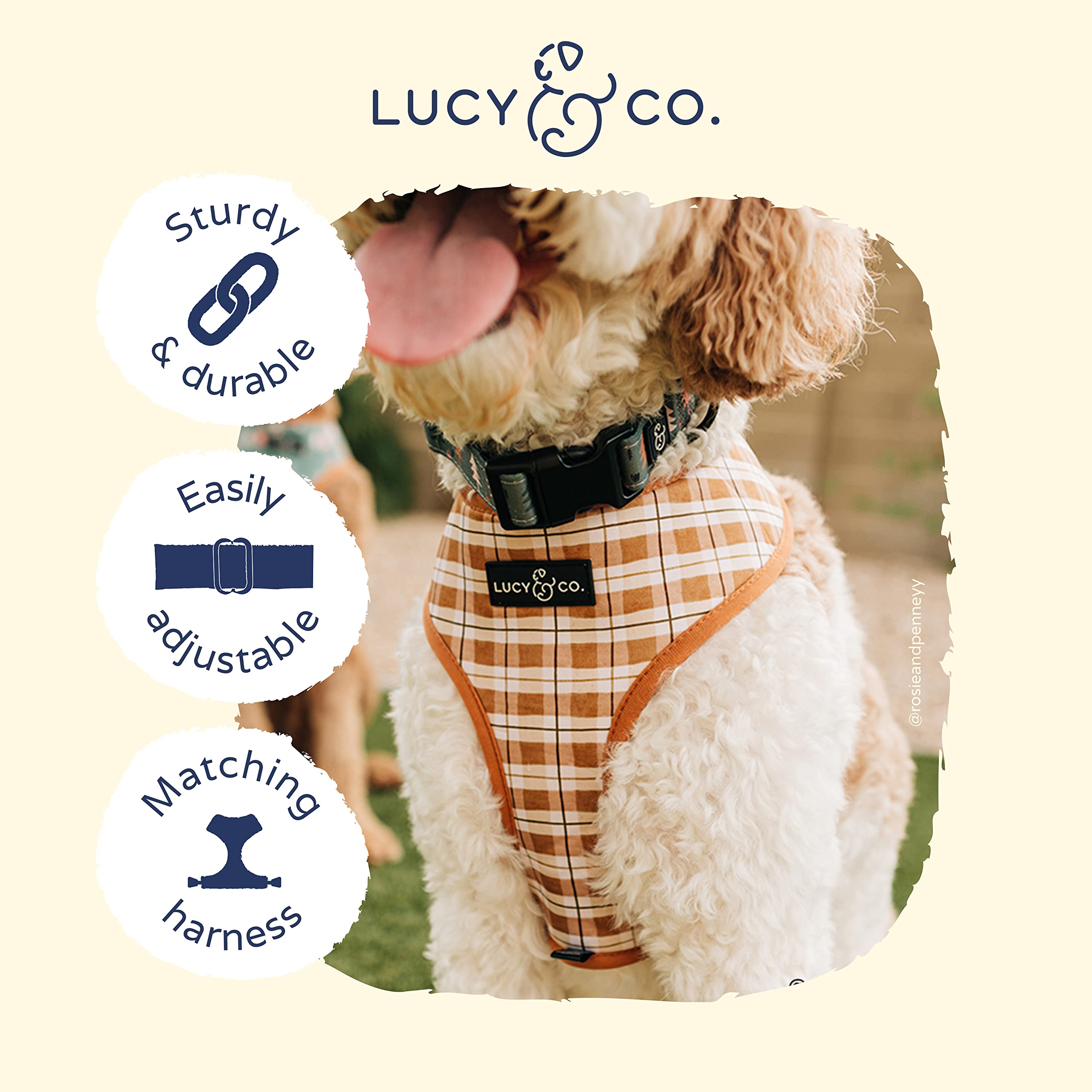 Lucy & Co. Take A Hike Dog Collar - Durable Lightweight Designer Collar For Pets - Adjustable Metal Safety Buckle - Green Trees