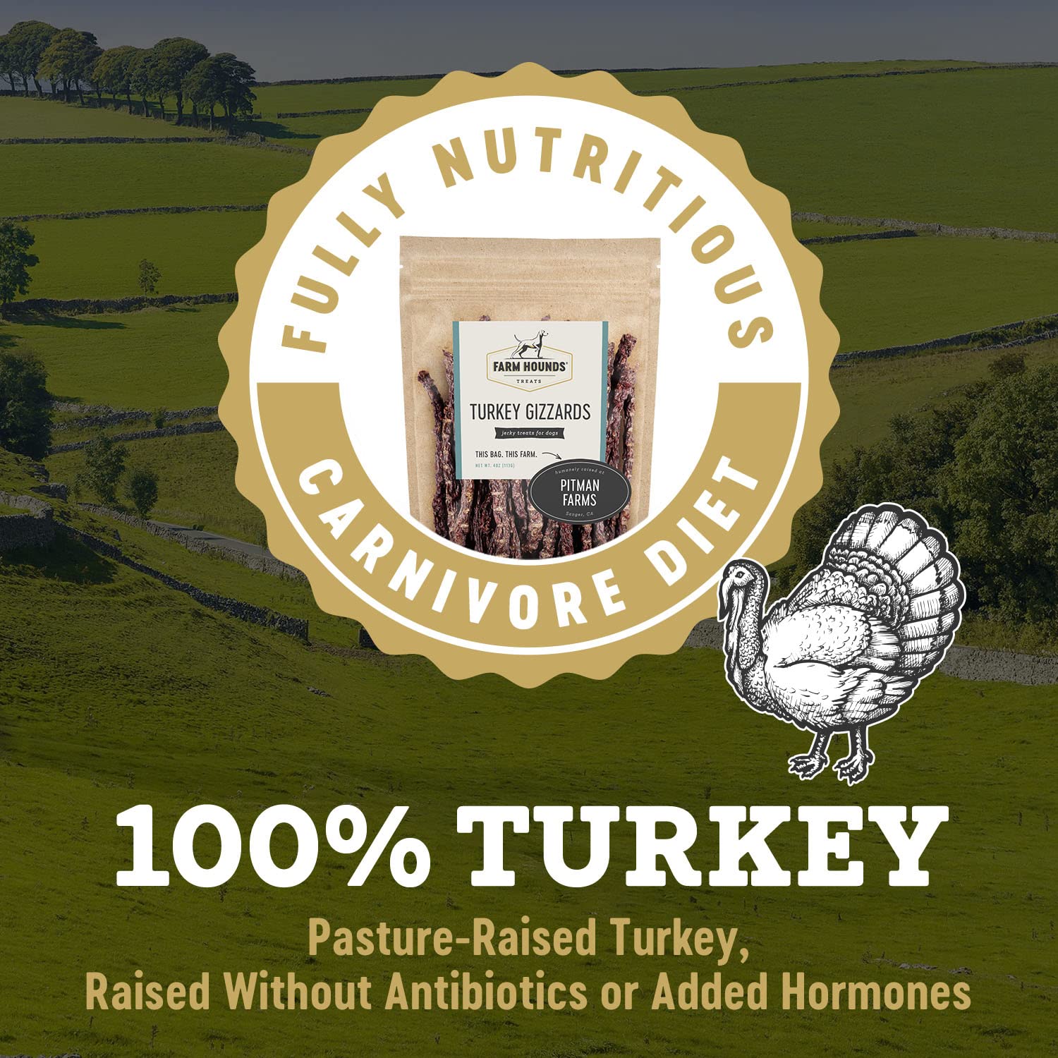 Farm Hounds - Turkey Gizzards - Premium Natural Jerky for Dogs - 100% Humanely Raised Turkey - Break-to-Size - Great for Trainin