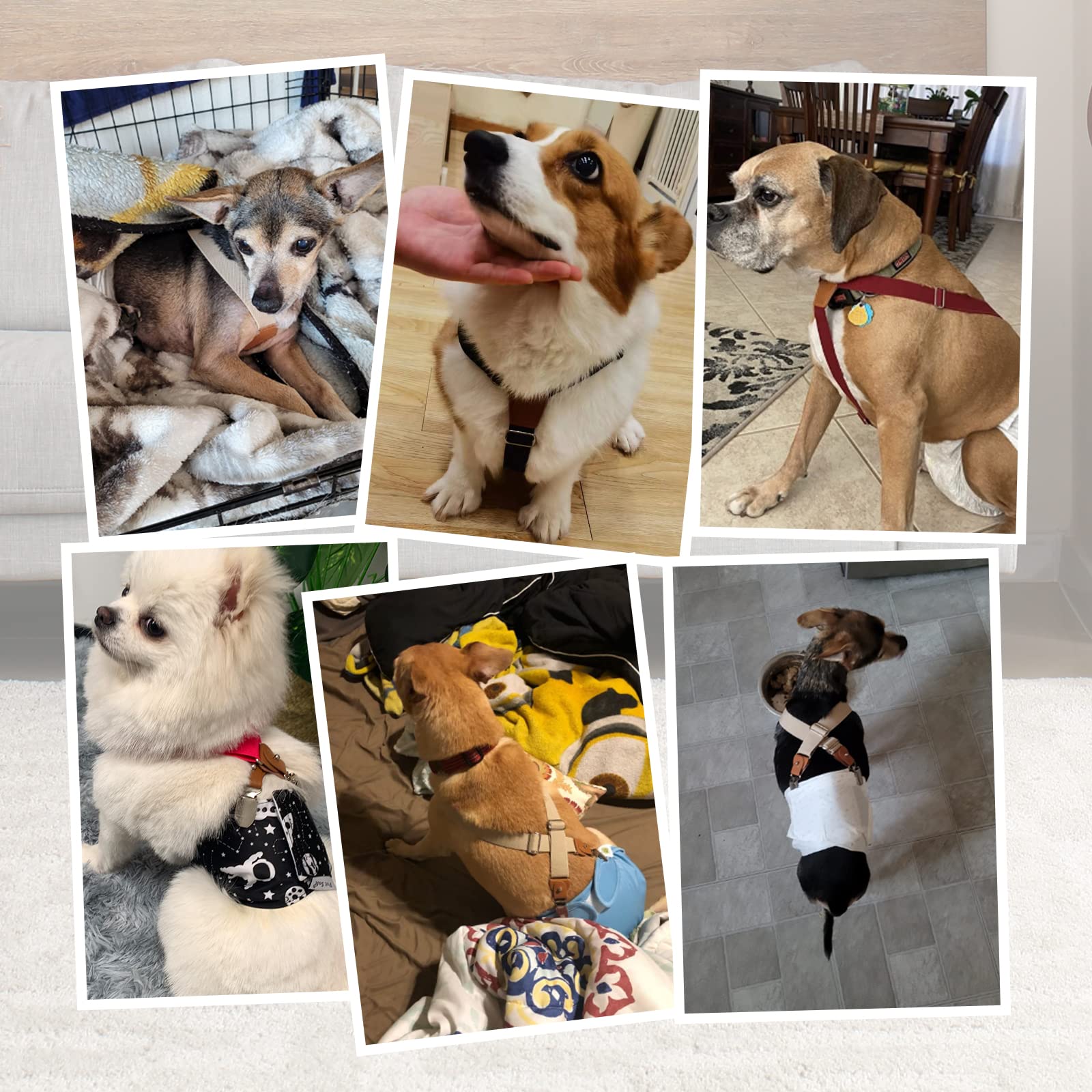 Pet Soft Dog Suspenders 2 Pieces Female Dog Diaper Suspenders For Dogs Diaper Keeper Suspender For Dog Skirt, Dog Dress (Plaid, M/L)