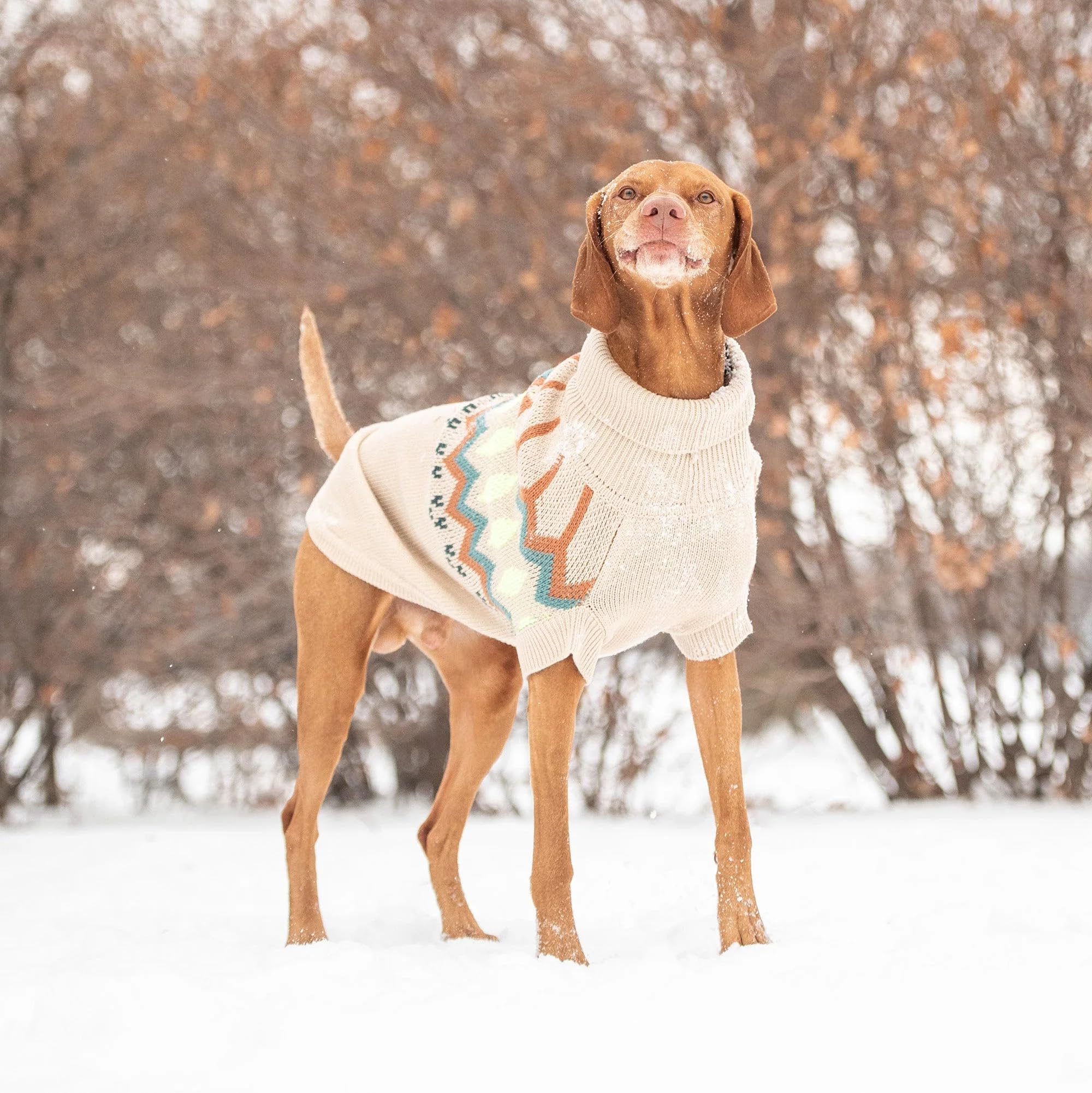 Gf Pet Heritage Sweater Dog Pullover – Classic Ribbed Knit Sweater For Dogs | Soft & Warm Acrylic | Timeless Design | Small, Medium, Large Pets – Sand, Xl