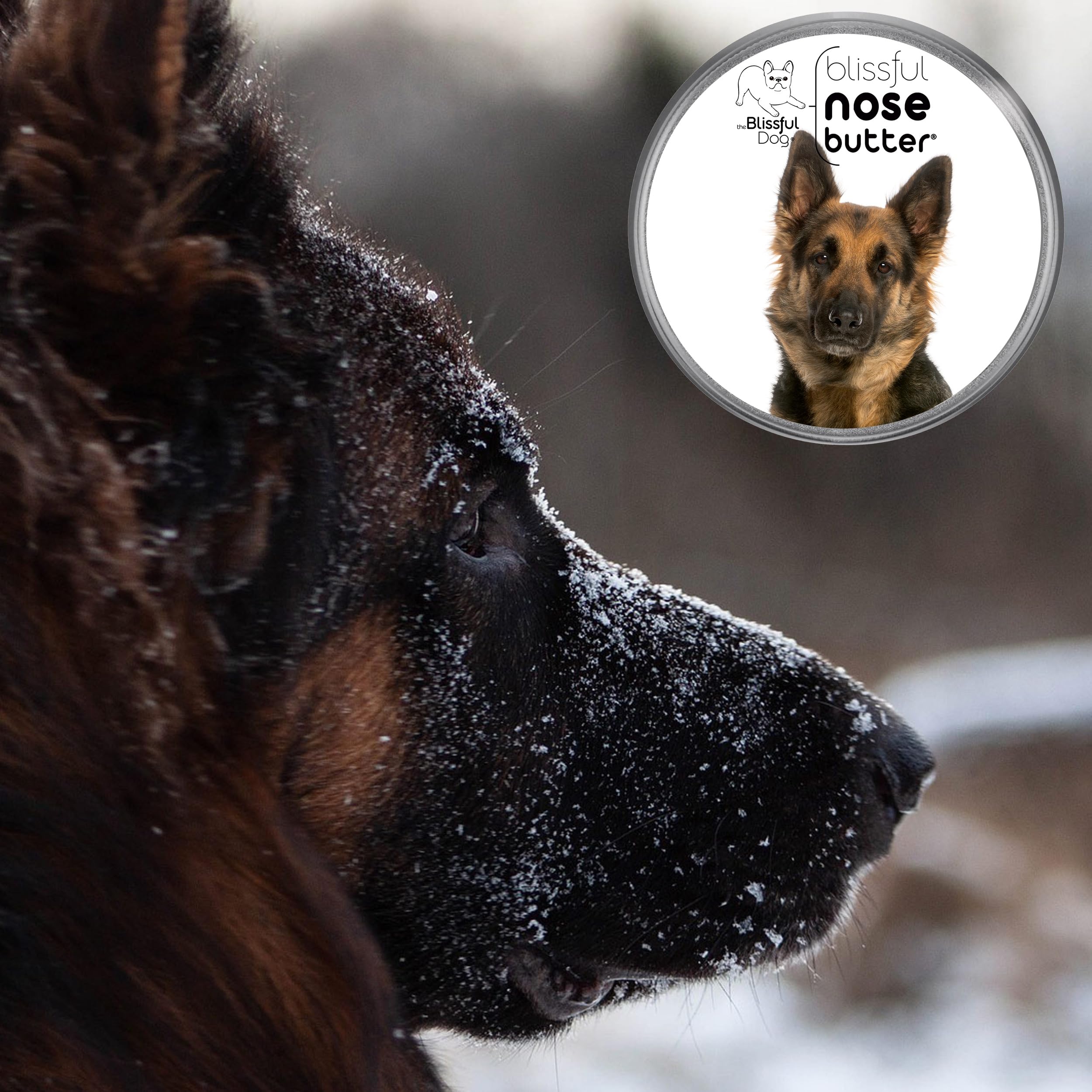 The Blissful Dog German Shepherd Unscented Nose Butter - Dog Nose Butter, 16 Ounce