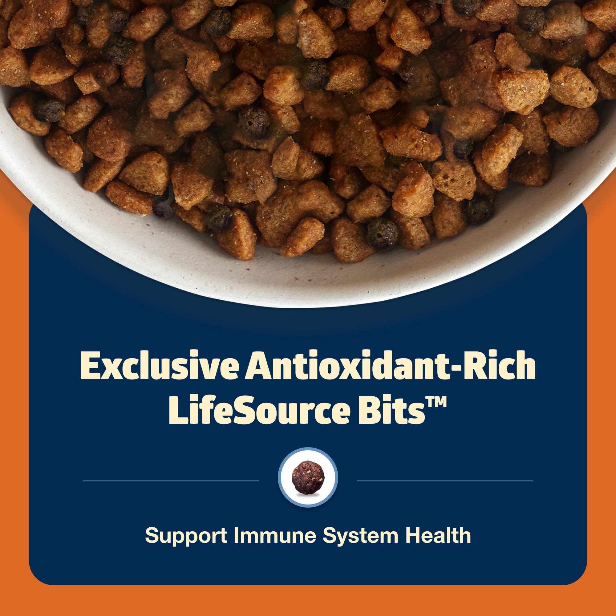 Blue Buffalo Freedom Grain-Free Large Breed Dry Dog Food, Supports Joint Health & Mobility, Made in the USA With Natural Ingredi