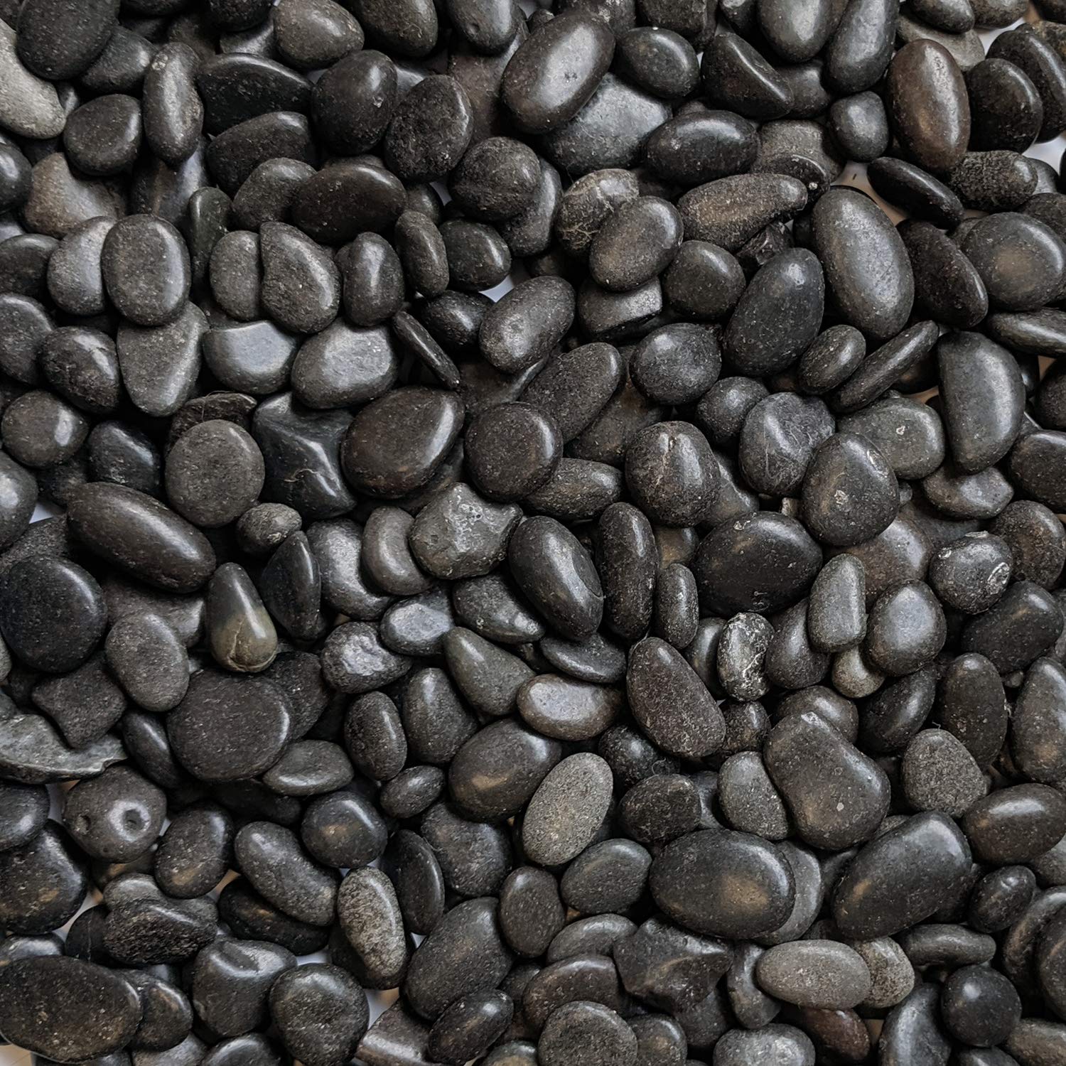 Midwest Hearth Natural Decorative Polished Black Pebbles 3/8'' Gravel Size (5-Lb Bag)